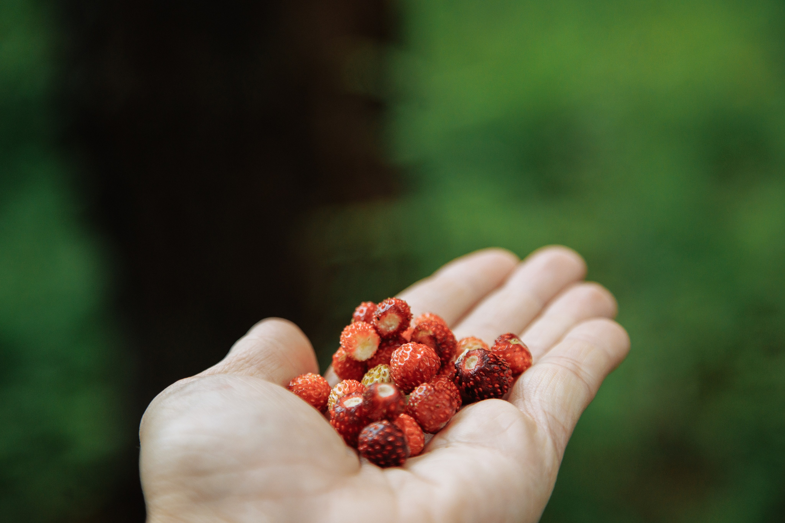 Корсаковские чтения с Российским Гомеопатическим Обществом. Галина Шарапова Детский и семейный фотограф Москва