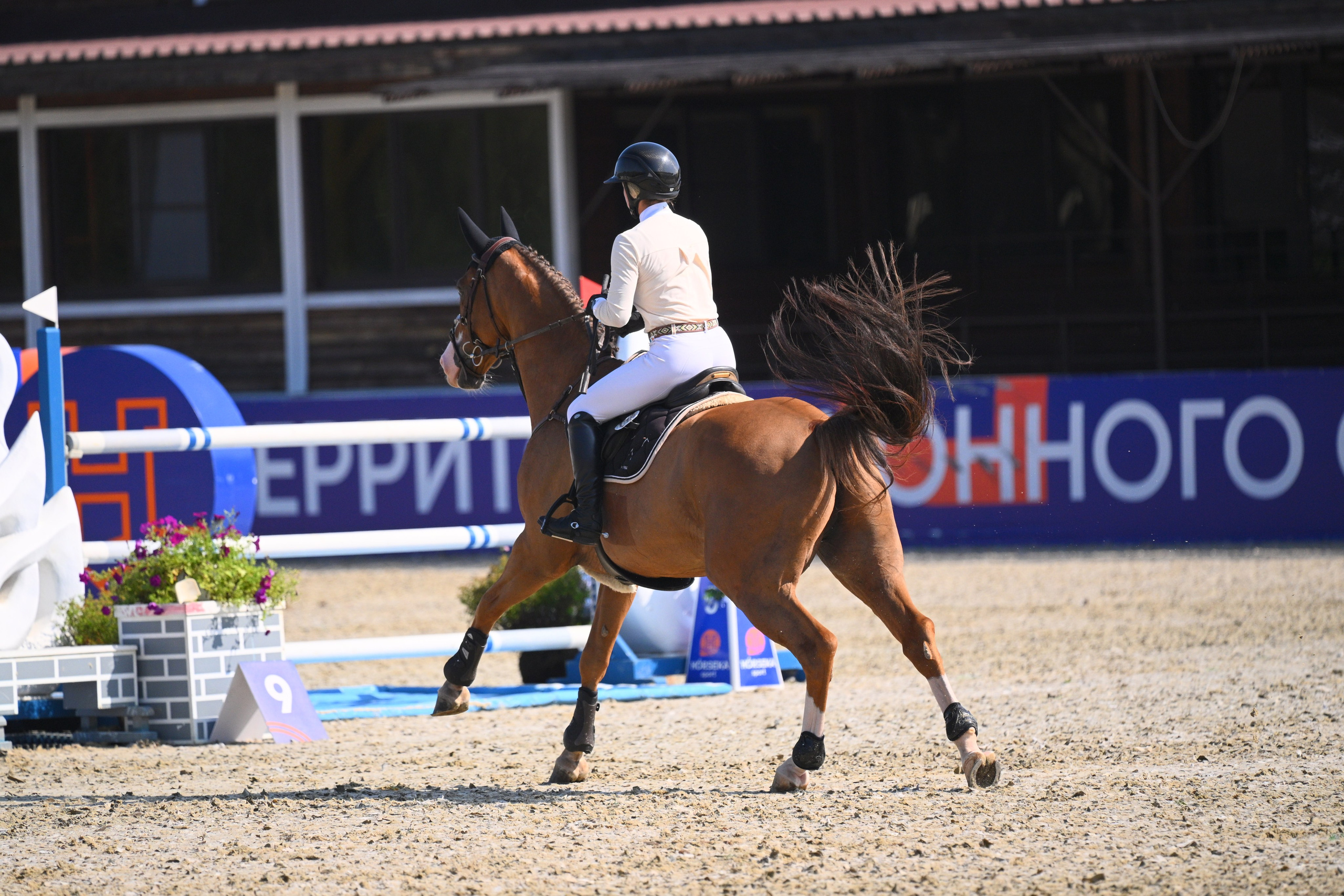 КСК Horseka, Чемпионат Росии+Молодые+Клубные, 30 июля — 3 августа,. ТУРНИРНАЯ КОННАЯ ФОТОГРАФИЯ, Руднева Ольга и Евгений Адеев
