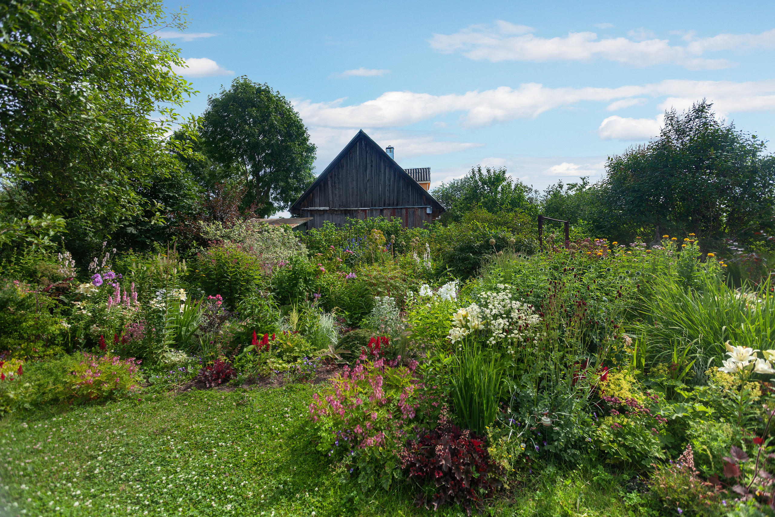 Занятие № 2. FOTOFAQ SKOOL г. Санкт-Петербург: очные, дистанционные и онлайн курсы фотографии