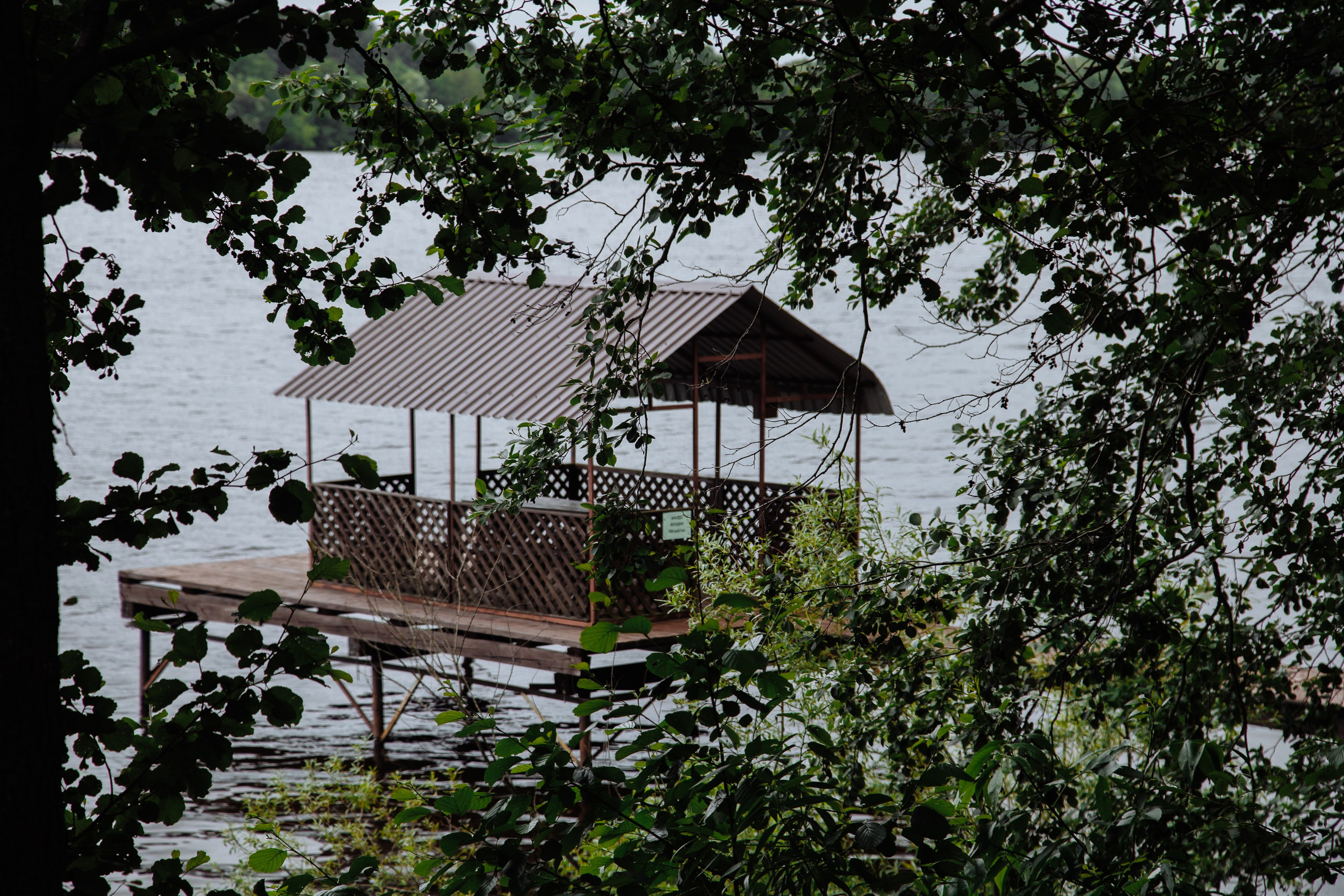 Корсаковские чтения с Российским Гомеопатическим Обществом. Галина Шарапова Детский и семейный фотограф Москва