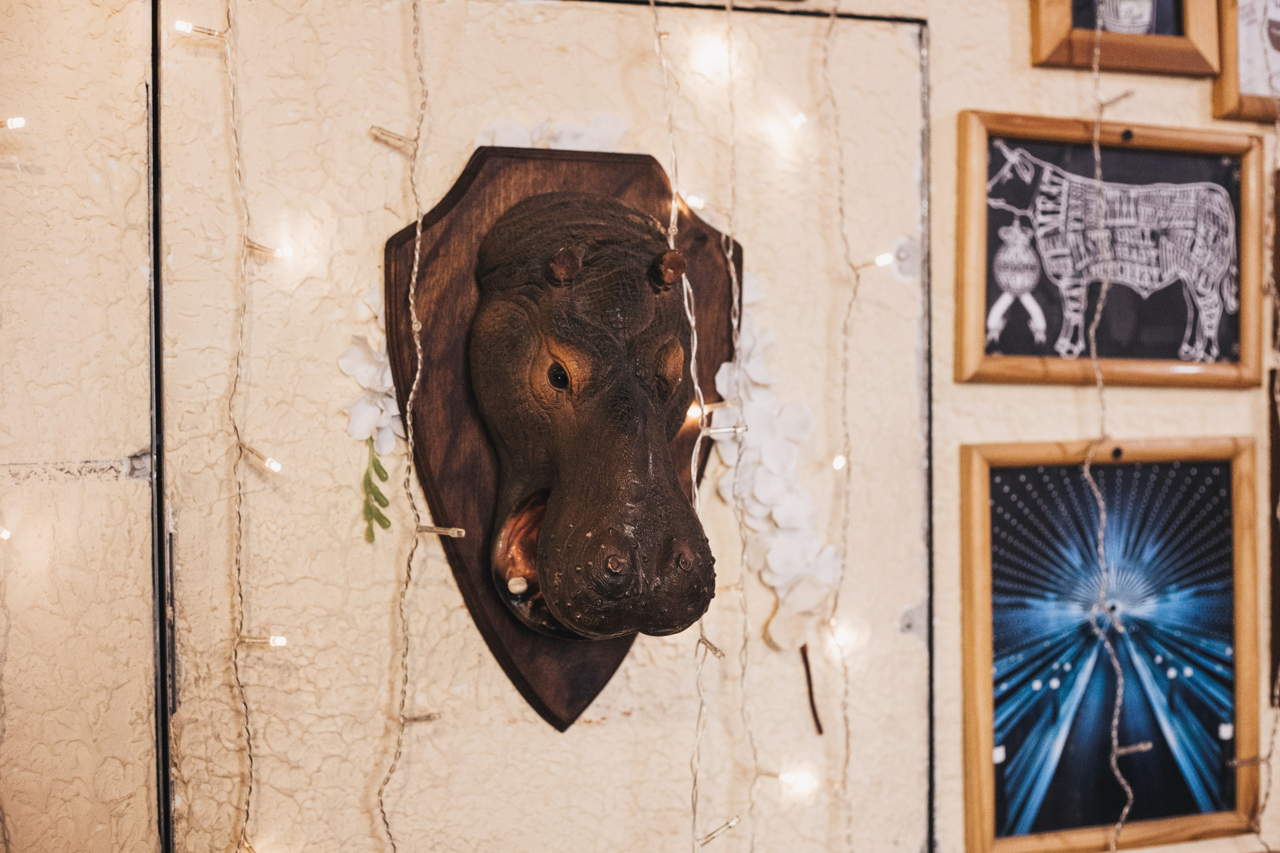 Корсаковские чтения с Российским Гомеопатическим Обществом. Галина Шарапова Детский и семейный фотограф Москва