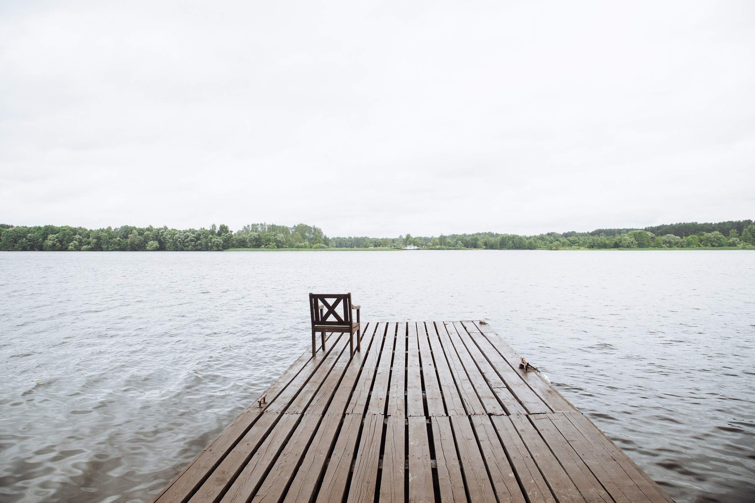 Корсаковские чтения с Российским Гомеопатическим Обществом. Галина Шарапова Детский и семейный фотограф Москва
