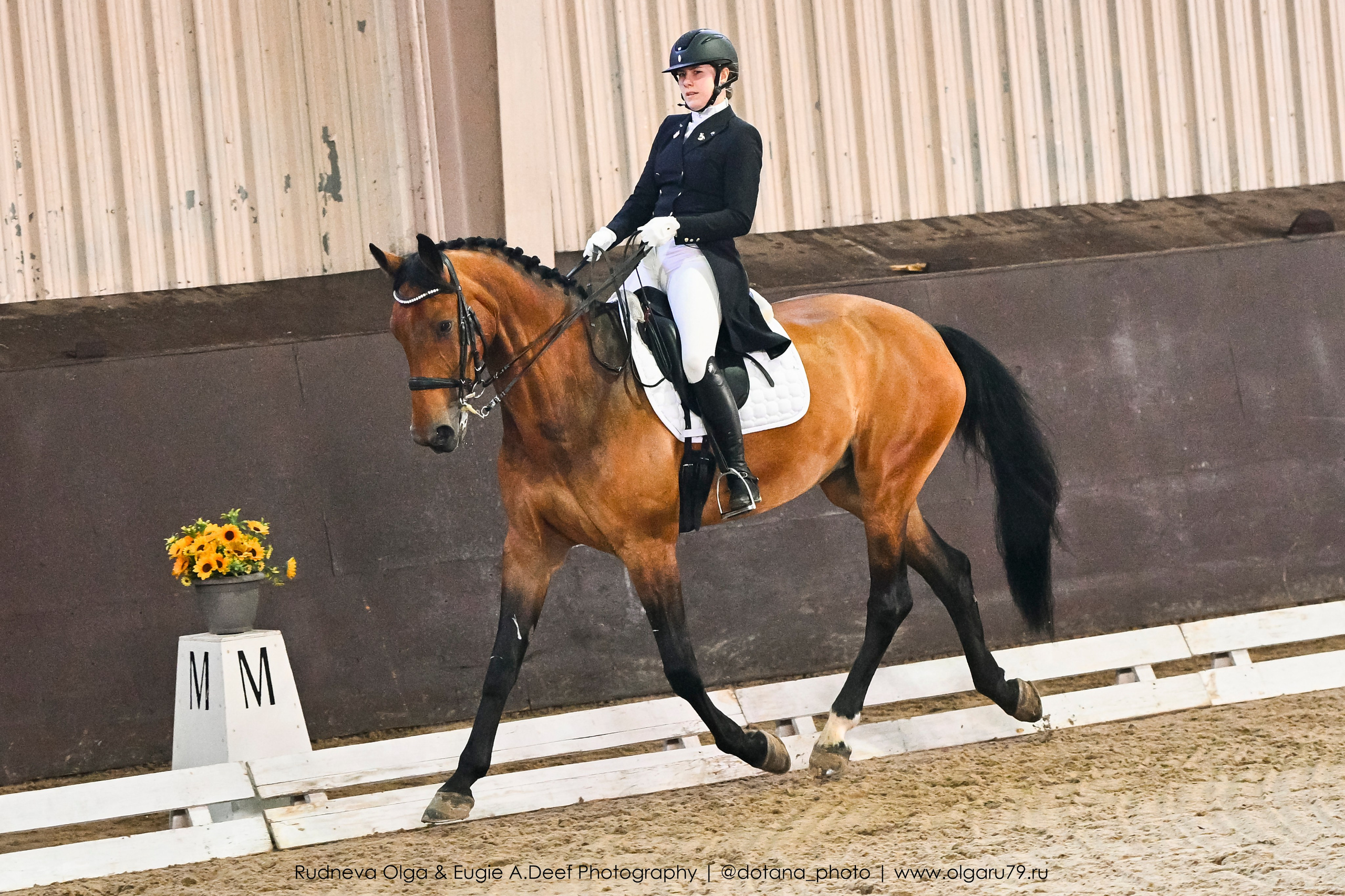 2026 март 14 КСК УРОЖАЙ (ВЫЕЗДКА). ТУРНИРНАЯ КОННАЯ ФОТОГРАФИЯ, Руднева Ольга и Евгений Адеев