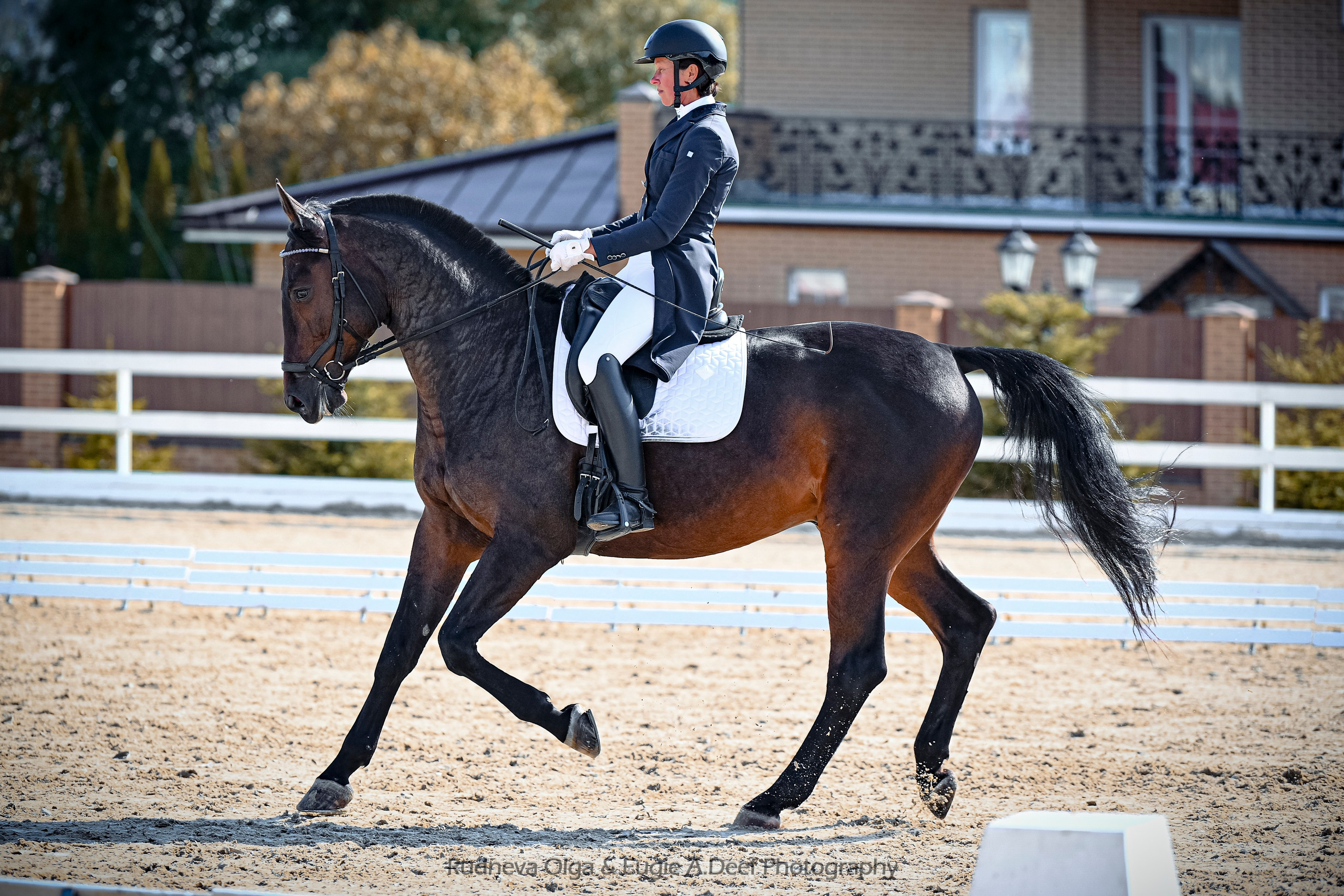 2025.09.13_СЕРЕБРЯНАЯ ПОДКОВА_ВЫЕЗДКА_ОСЕННИЙ КУБОК. ТУРНИРНАЯ КОННАЯ ФОТОГРАФИЯ, Руднева Ольга и Евгений Адеев