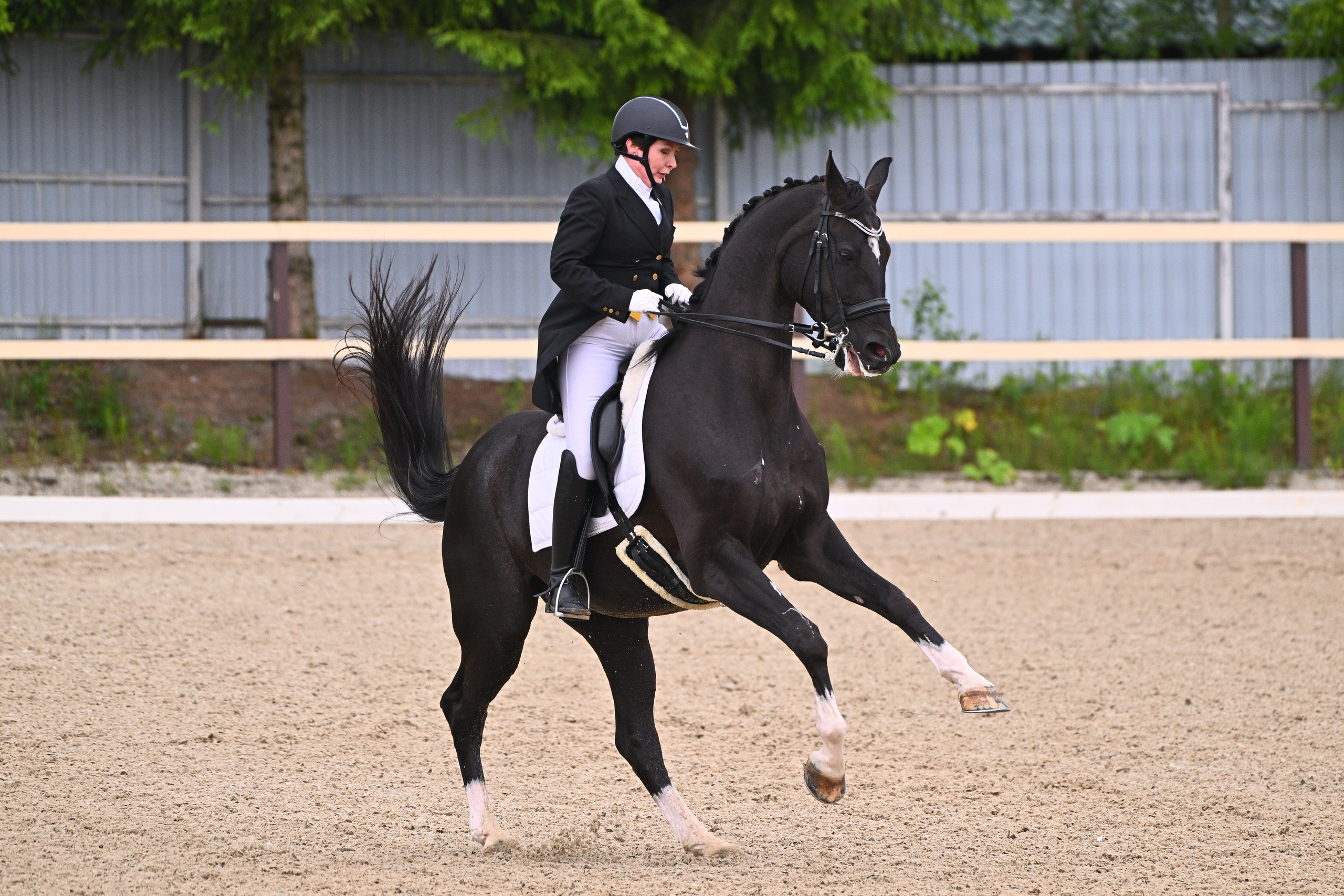 КСК «ЭКВИТОРУС» КОМАНДНЫЙ ЧЕМПИОНАТ И ПЕРВЕНСТВО МО_ВЫЕЗДКА. ТУРНИРНАЯ КОННАЯ ФОТОГРАФИЯ, Руднева Ольга и Евгений Адеев