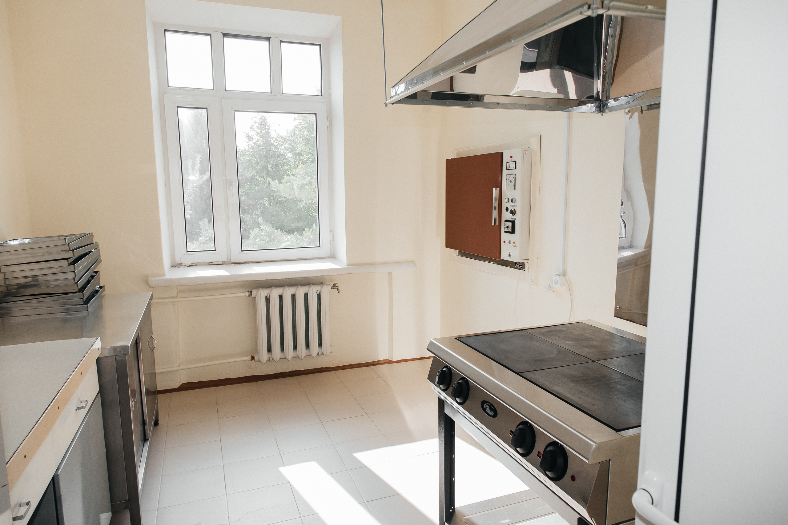 Корсаковские чтения с Российским Гомеопатическим Обществом. Галина Шарапова Детский и семейный фотограф Москва