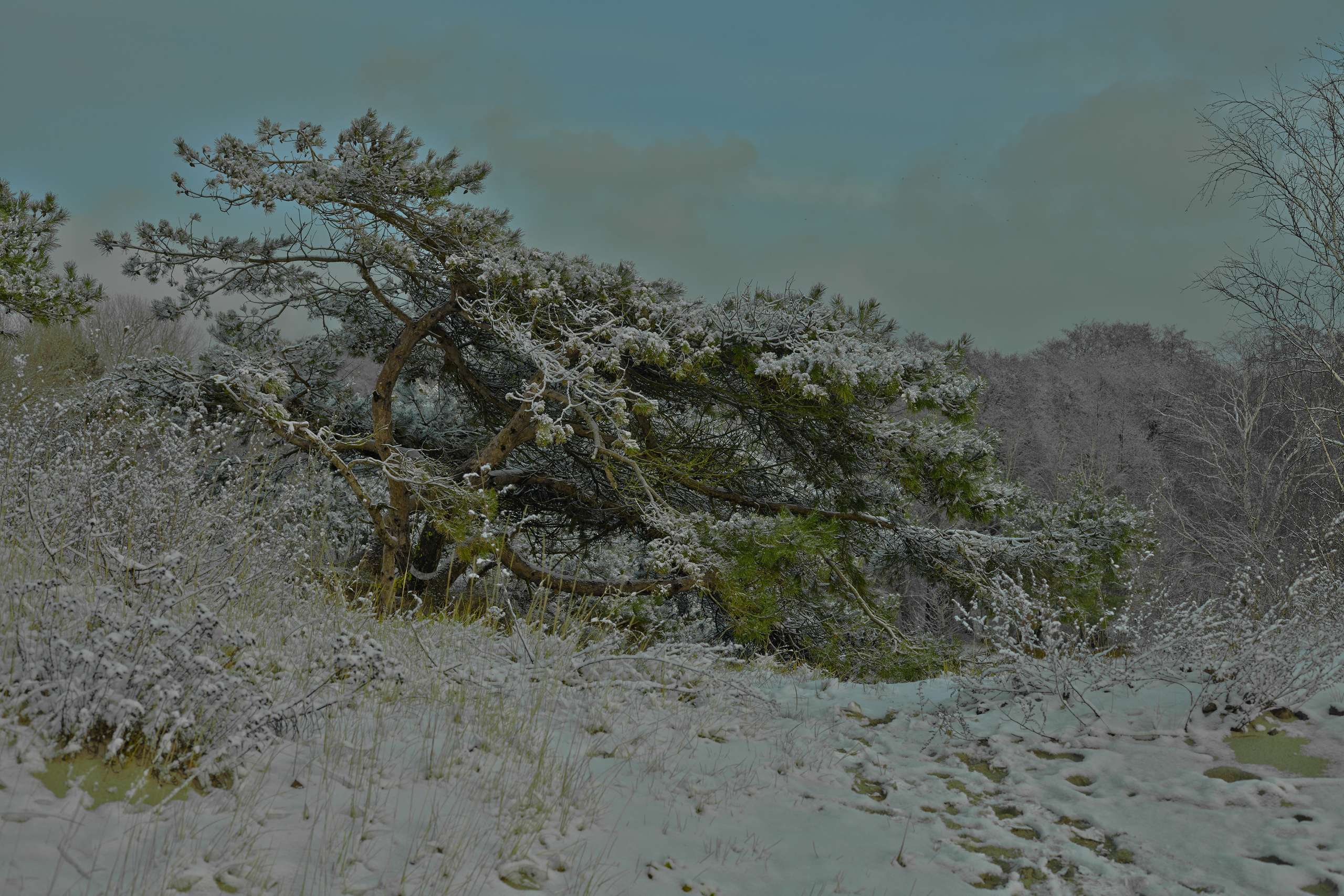 Инородное тело