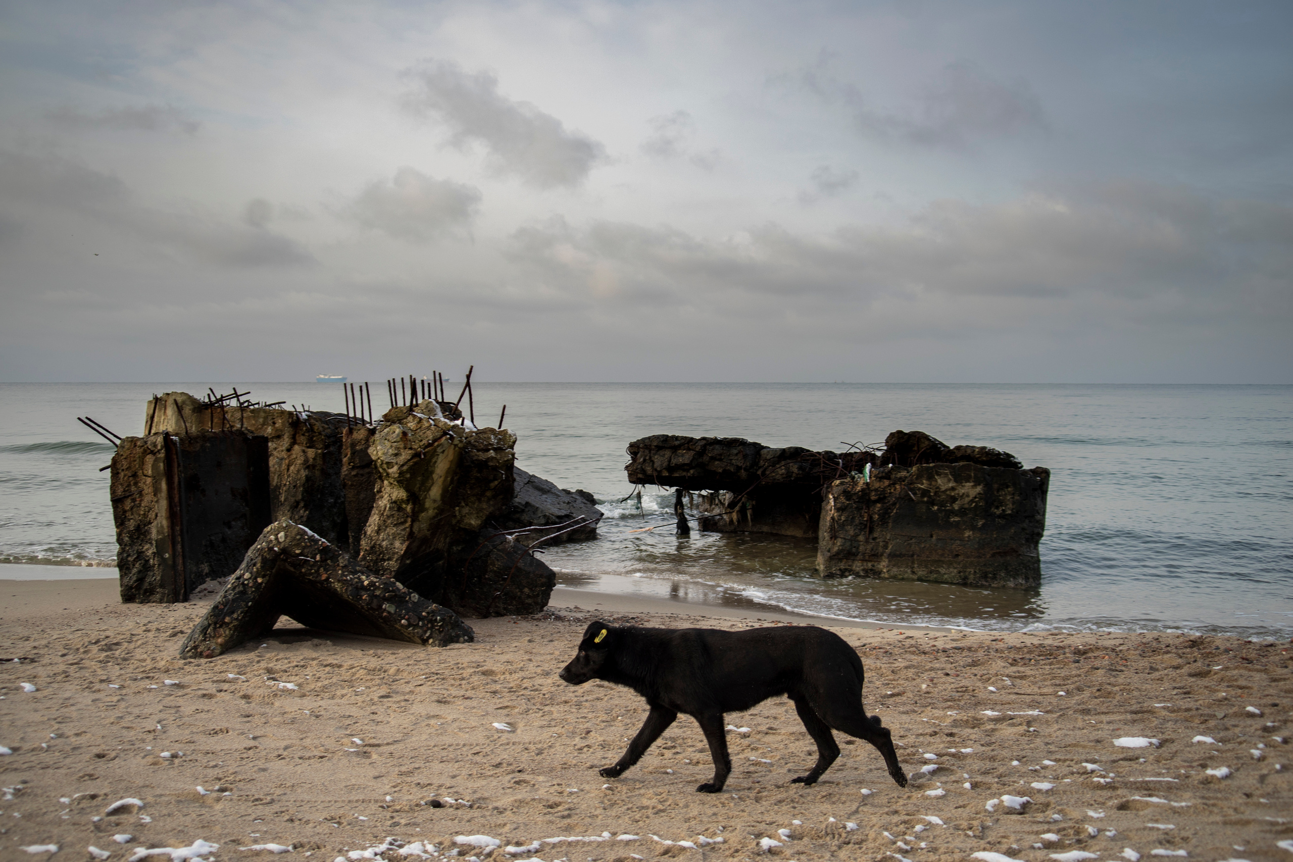 Инородное тело