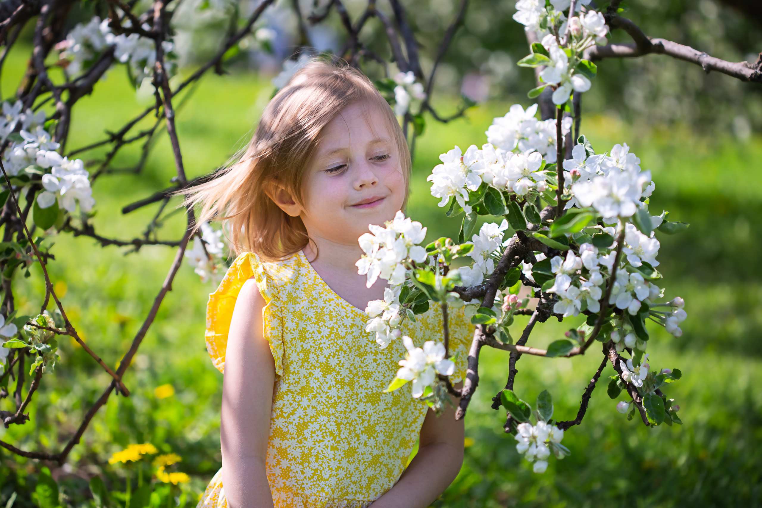 Девочка в желтом платье нюхает ветку цветущей яблони