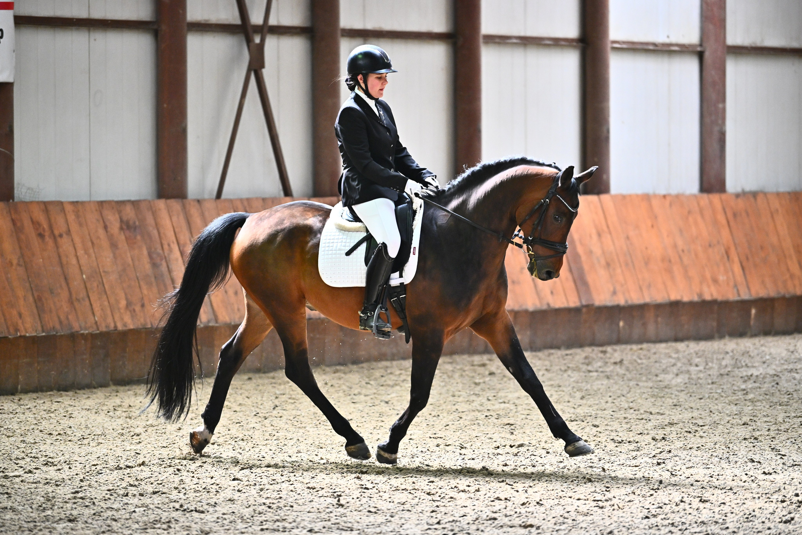 КСК Престиж СОРЕВНОВАНИЯ МОСКОВСКОЙ ОБЛАСТИ ПО ВЫЕЗДКЕ. ТУРНИРНАЯ КОННАЯ ФОТОГРАФИЯ, Руднева Ольга и Евгений Адеев
