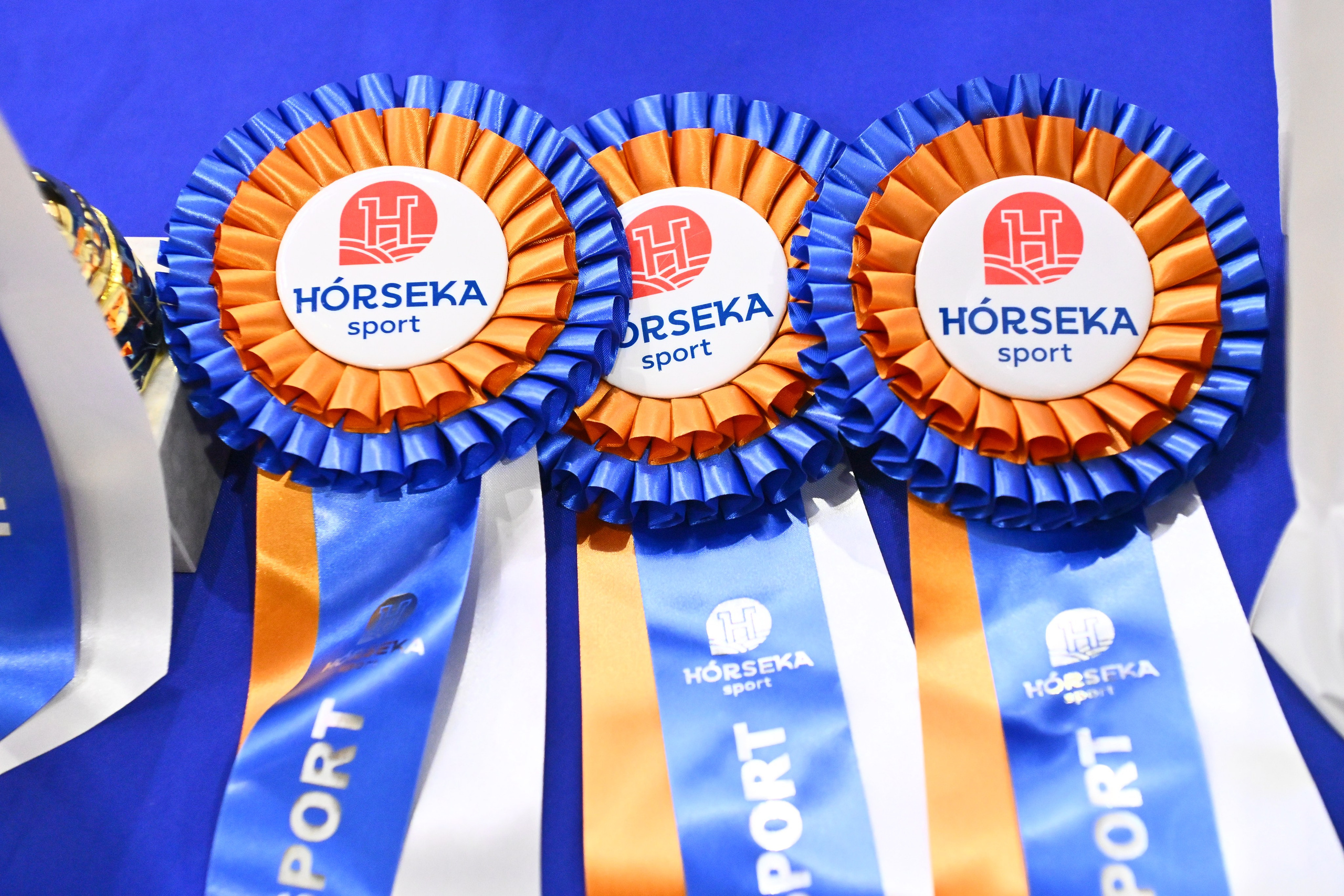 2026-04-19 КСК Хорсека (конкур). ТУРНИРНАЯ КОННАЯ ФОТОГРАФИЯ, Руднева Ольга и Евгений Адеев