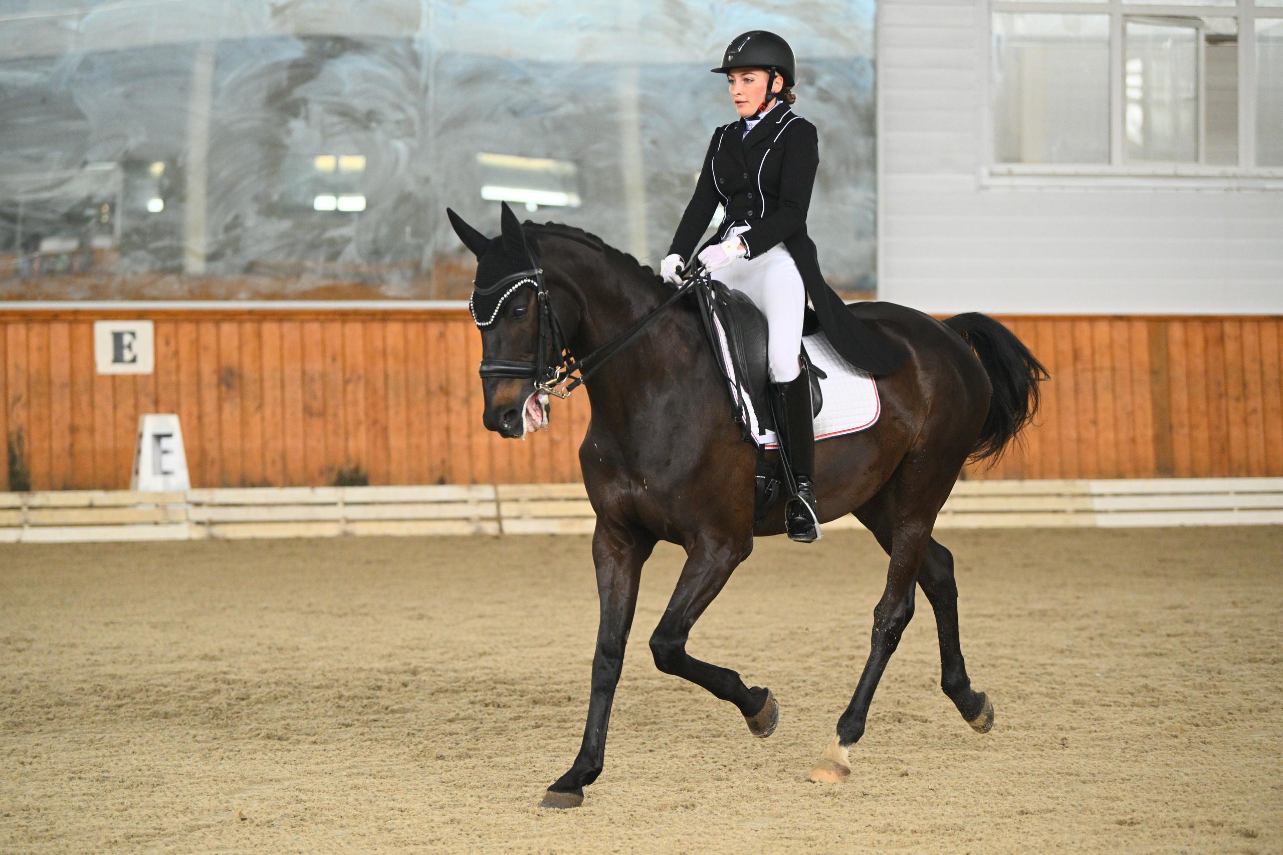 2025.07.20 — КСК «КОНКОРД» ЛЕТНИЙ КУБОК (ВЫЕЗДКА). ТУРНИРНАЯ КОННАЯ ФОТОГРАФИЯ, Руднева Ольга и Евгений Адеев