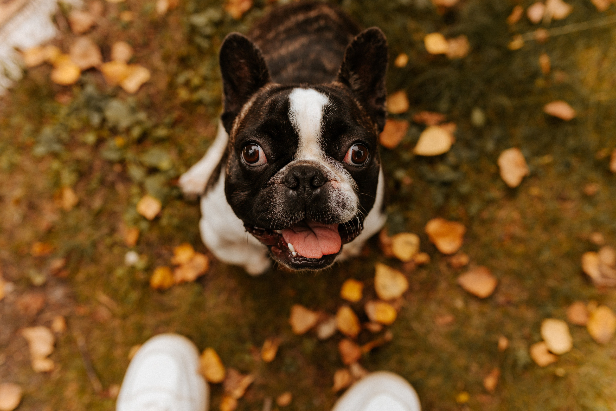 Индивидуальные, семейные, love-story. Фотограф Тверь. Свадебные, семейные, индивидуальные фотосессии