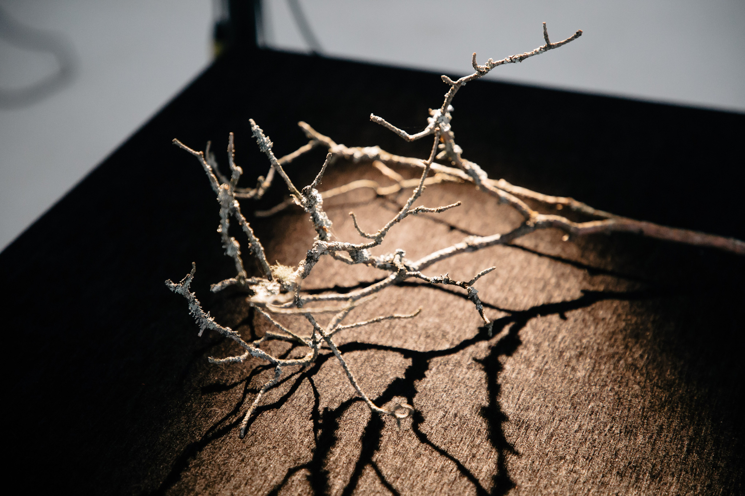 Юля. Белякова Кристина — репортажный и портретный фотограф в Твери