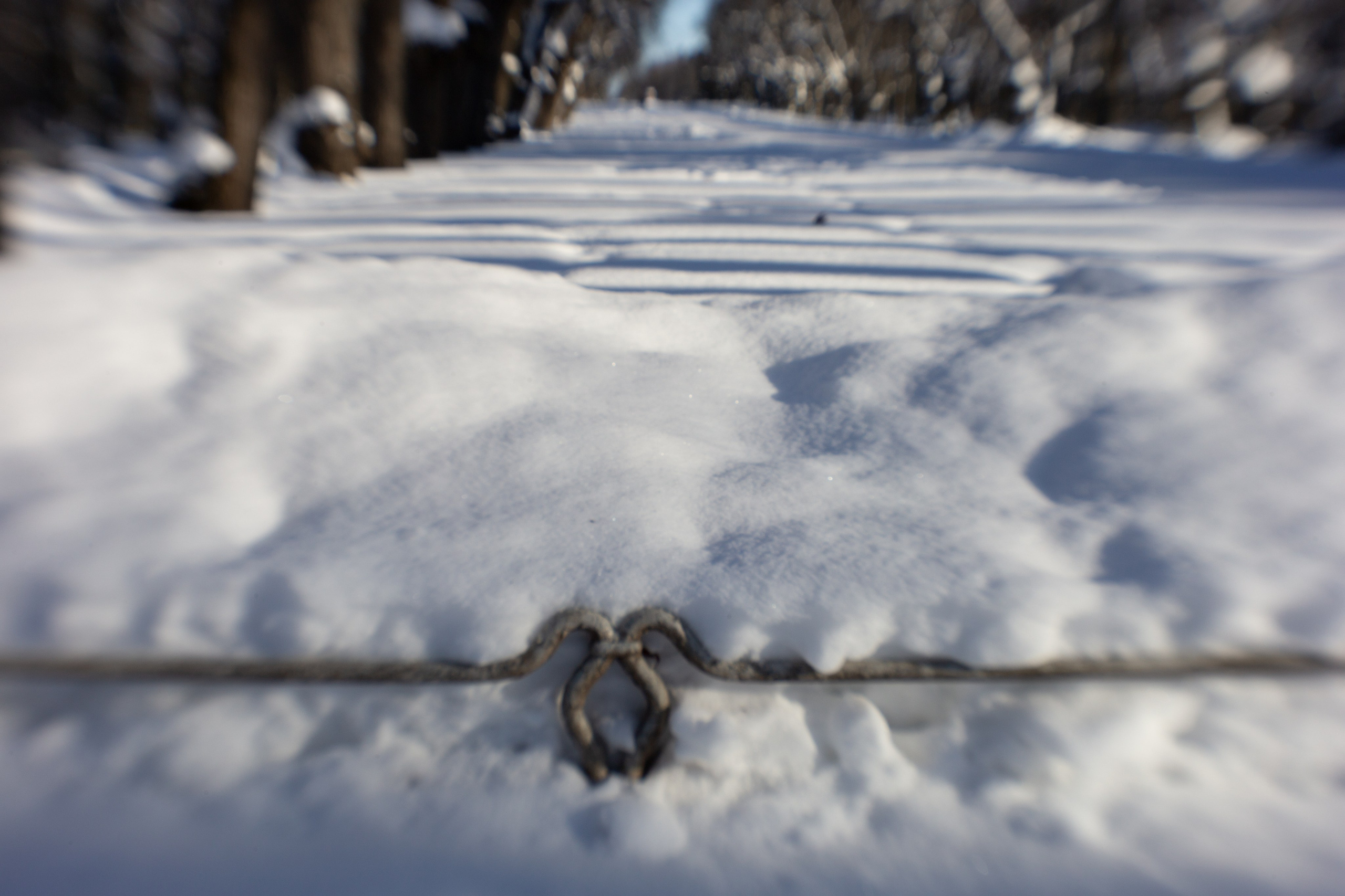 Санкт-Петербург, Павловск зимой 2026. Блог фотографа из СПб, фотографии на монокль. Локации для фото в Санкт-Петербурге. Идеи позирования для фото.