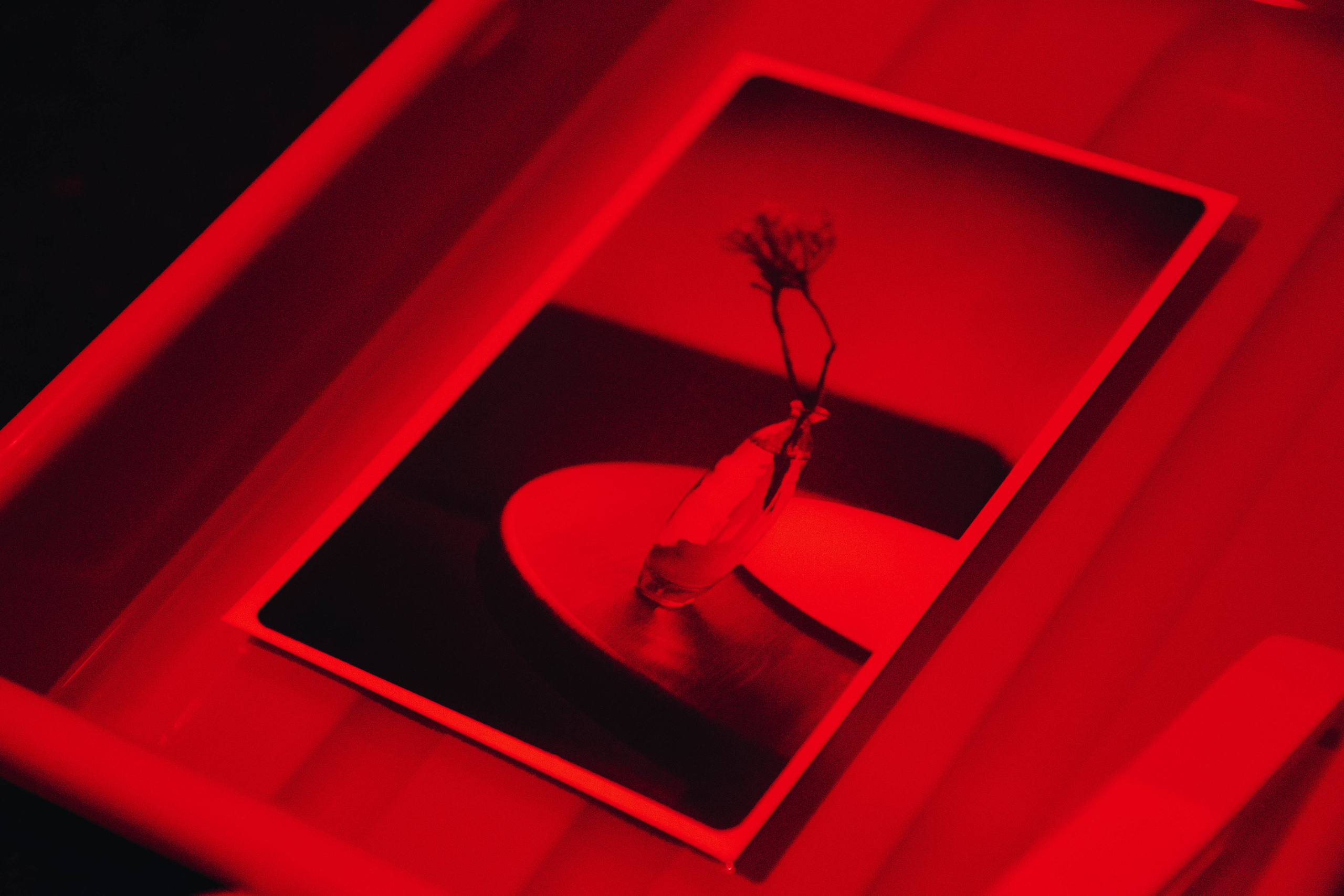 Михаил. Белякова Кристина — репортажный и портретный фотограф в Твери