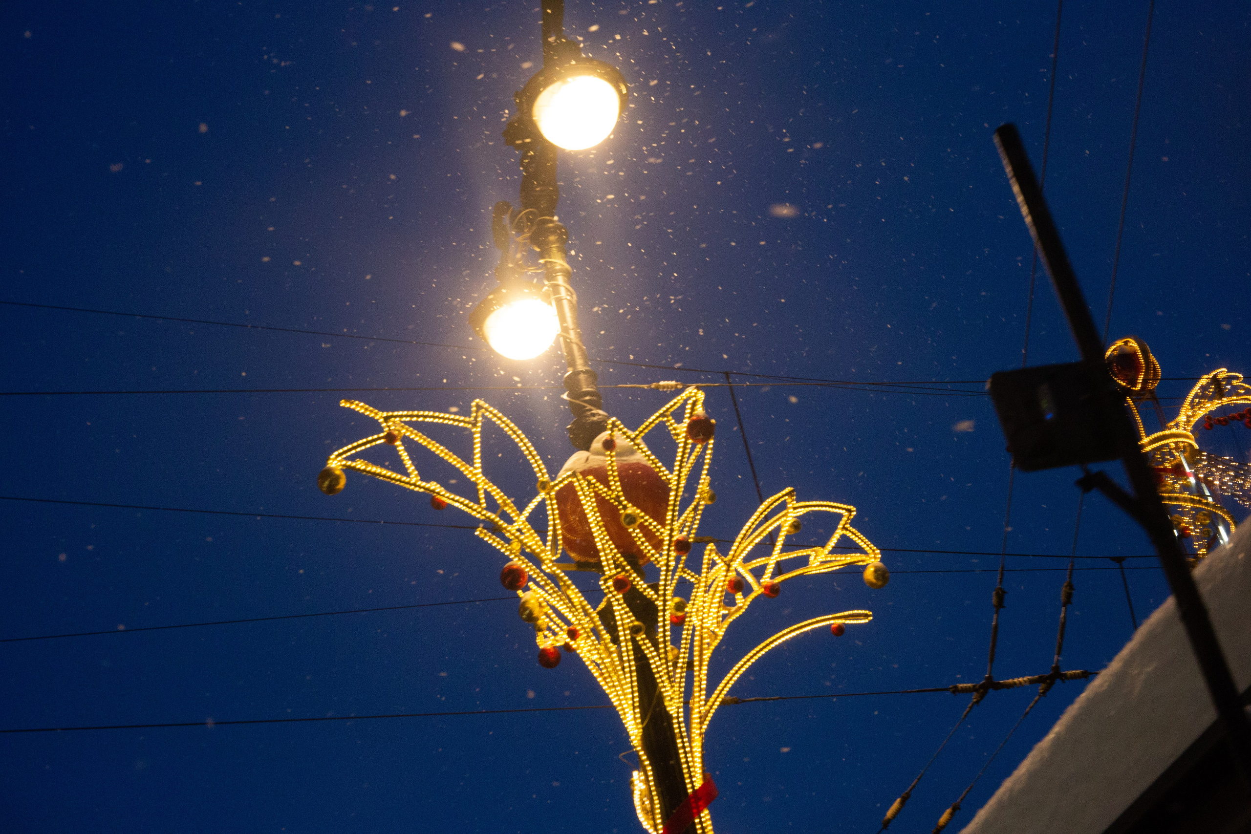Фотограф в Санкт-Петербурге