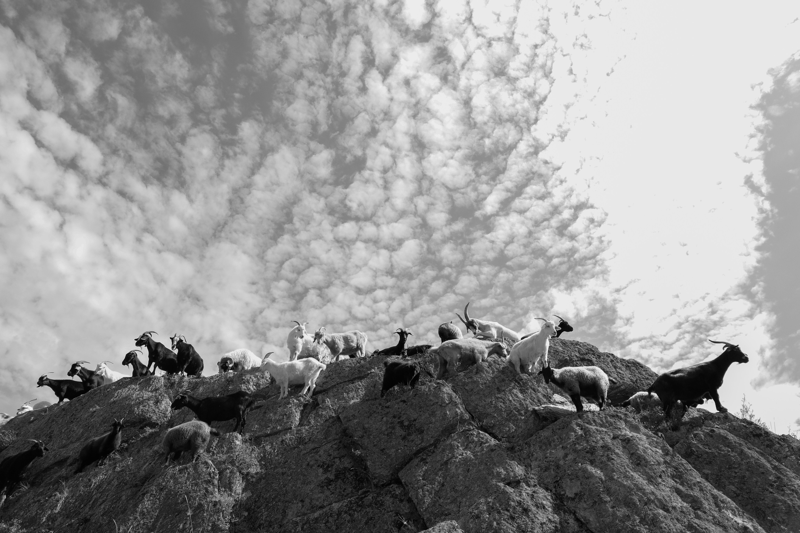 Быт местных в Алтайских сёлах. Povarov