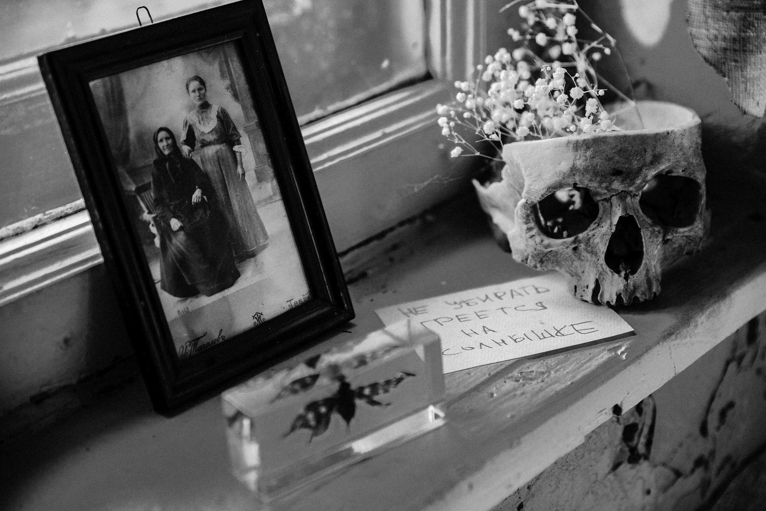 Ирина. Белякова Кристина — репортажный и портретный фотограф в Твери