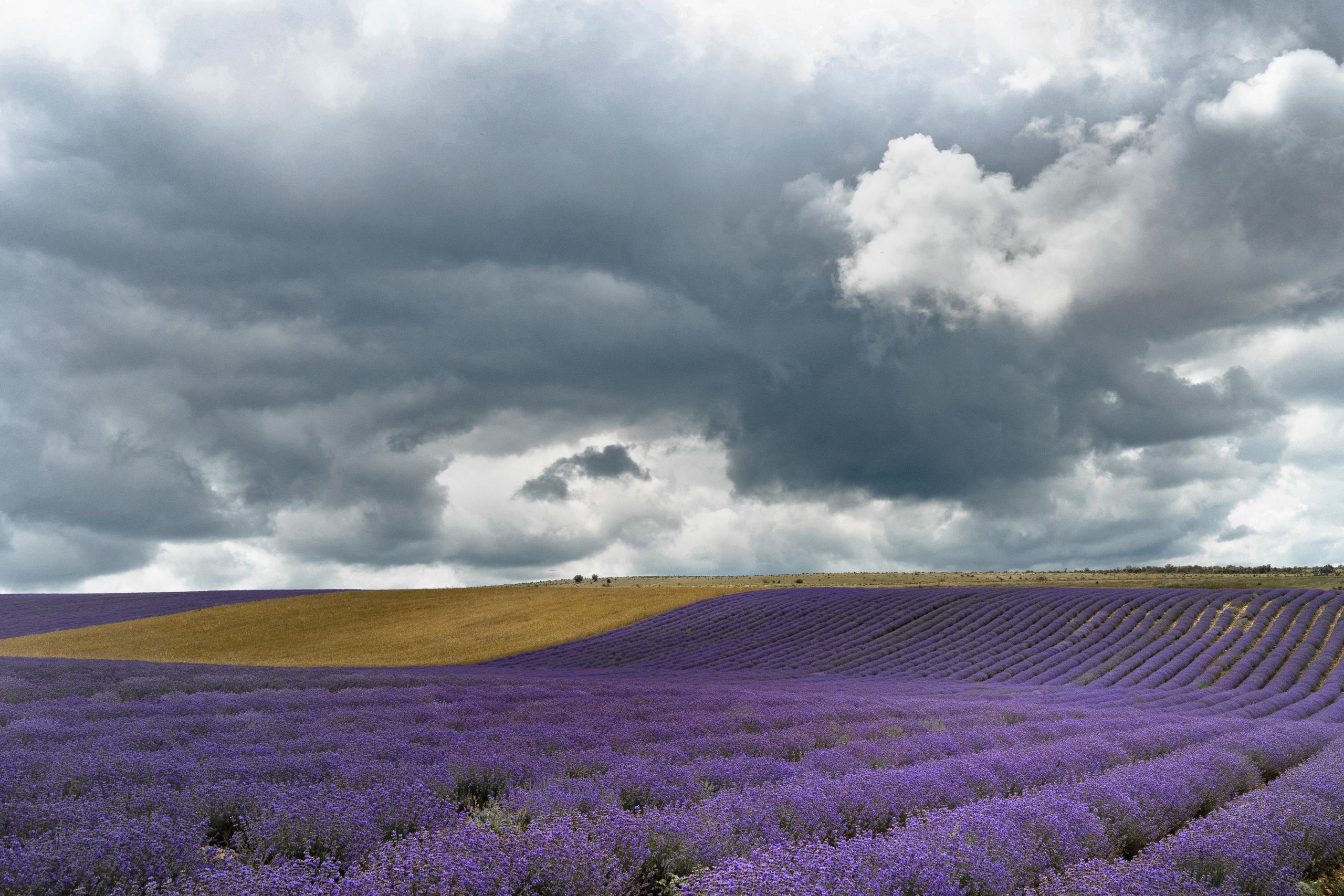 Путешествия. Фотохудожник Алина Ершова
