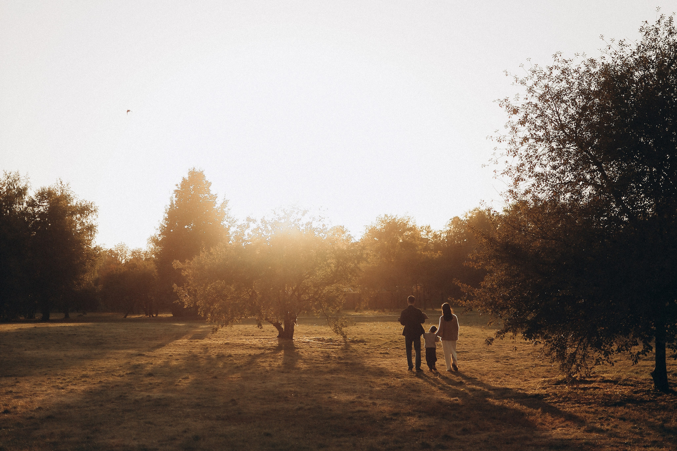 Для фотографов. Семейный и детский фотограф в Москве Анастасия Меликова
