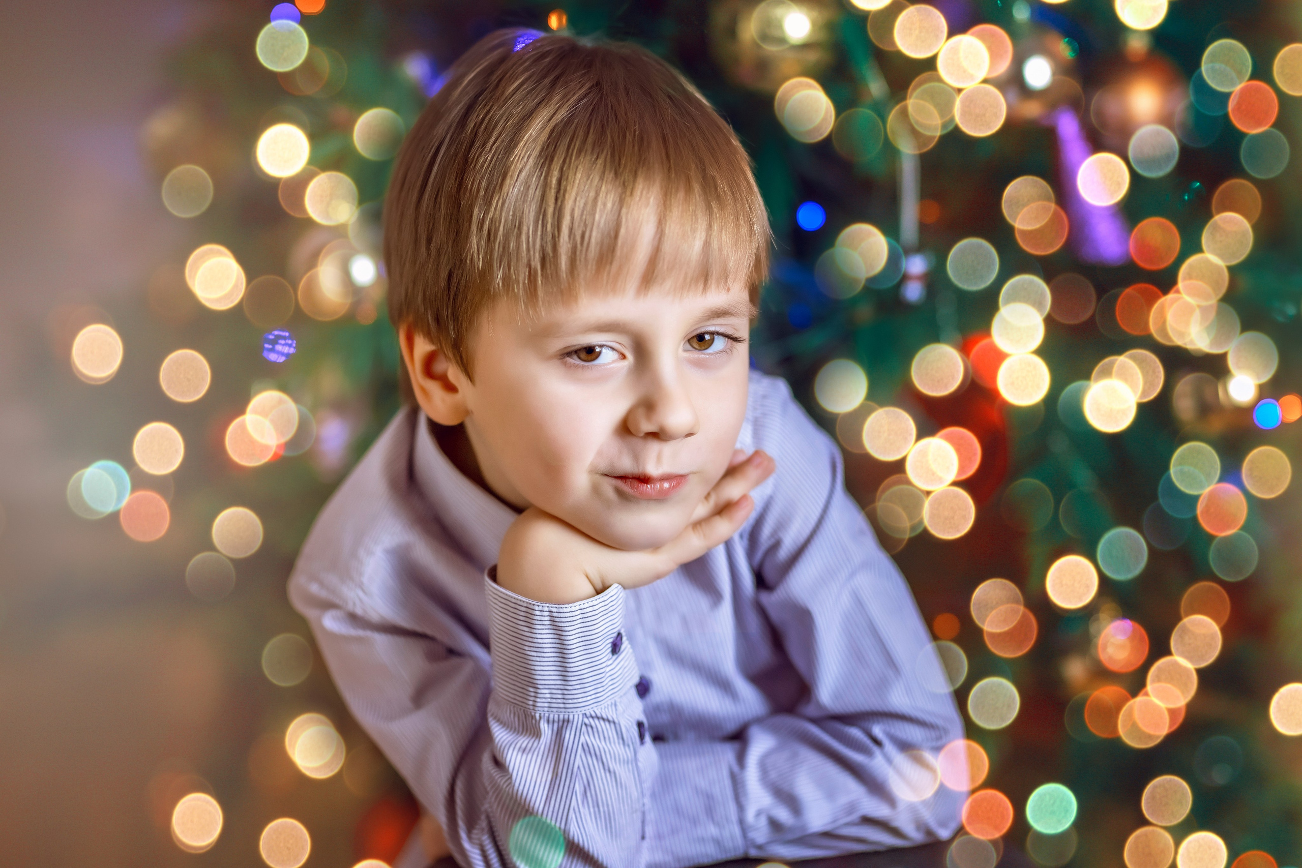 🎄 НОВЫЙ ГОД 🎄. Фотограф Алина Лебедь