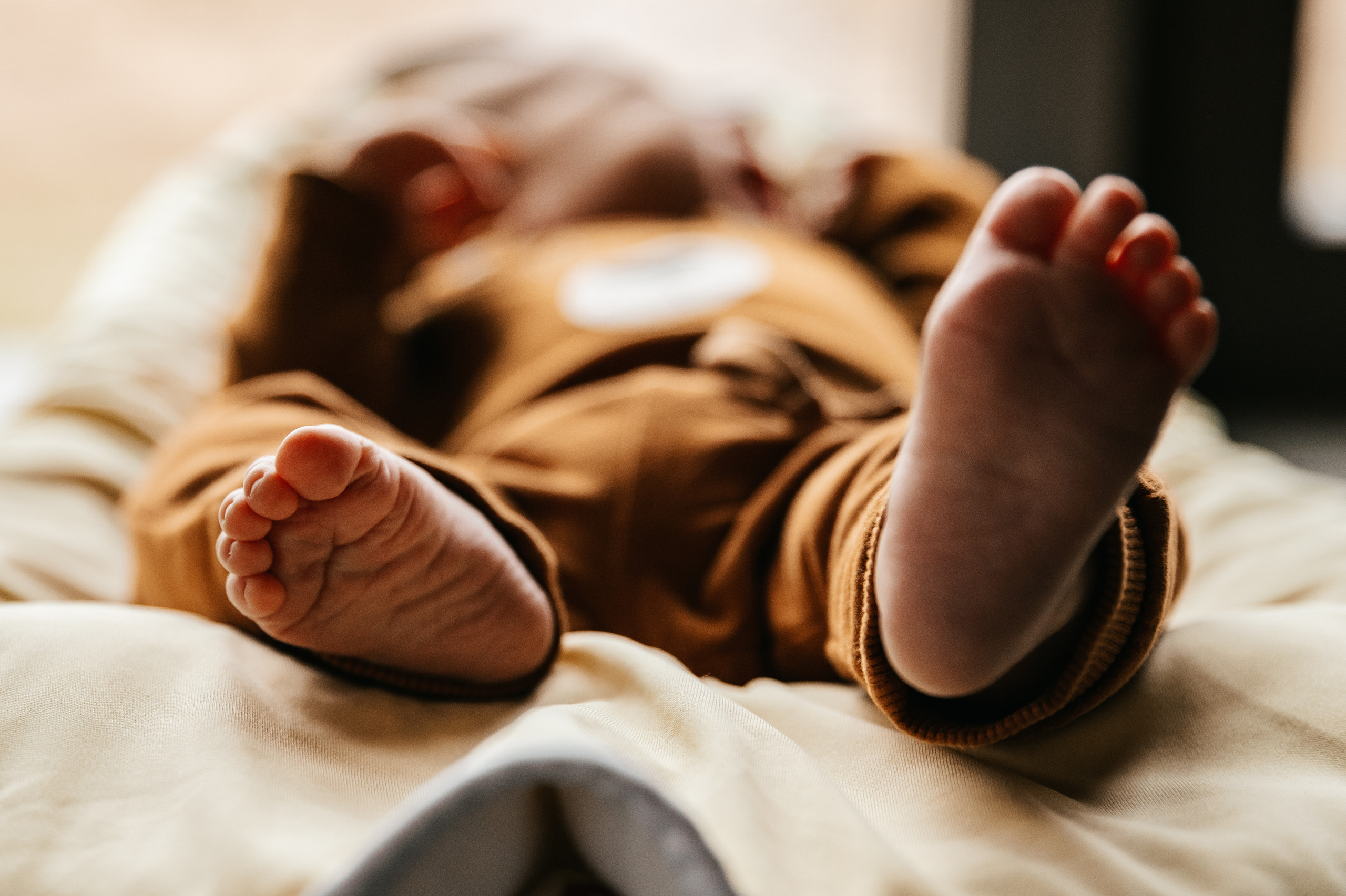 Семейный фотограф Юлия Роберт. Москва