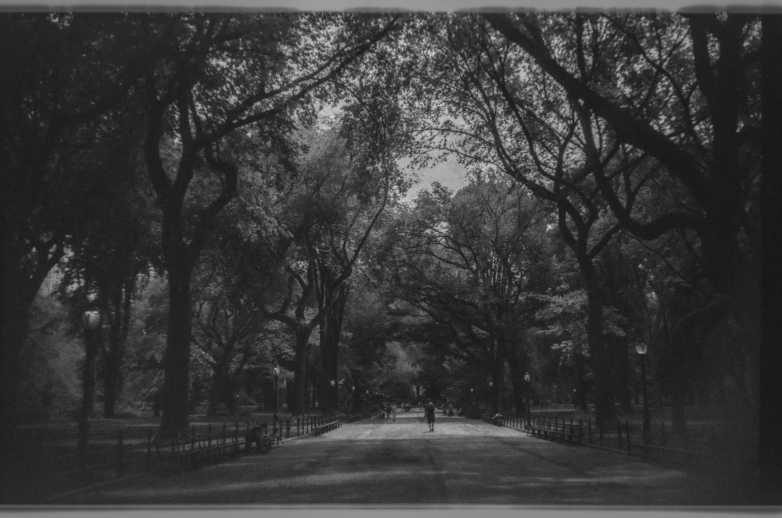 THE EMPIRE IN CHARCOAL. Anna Esquilin Art Photographer