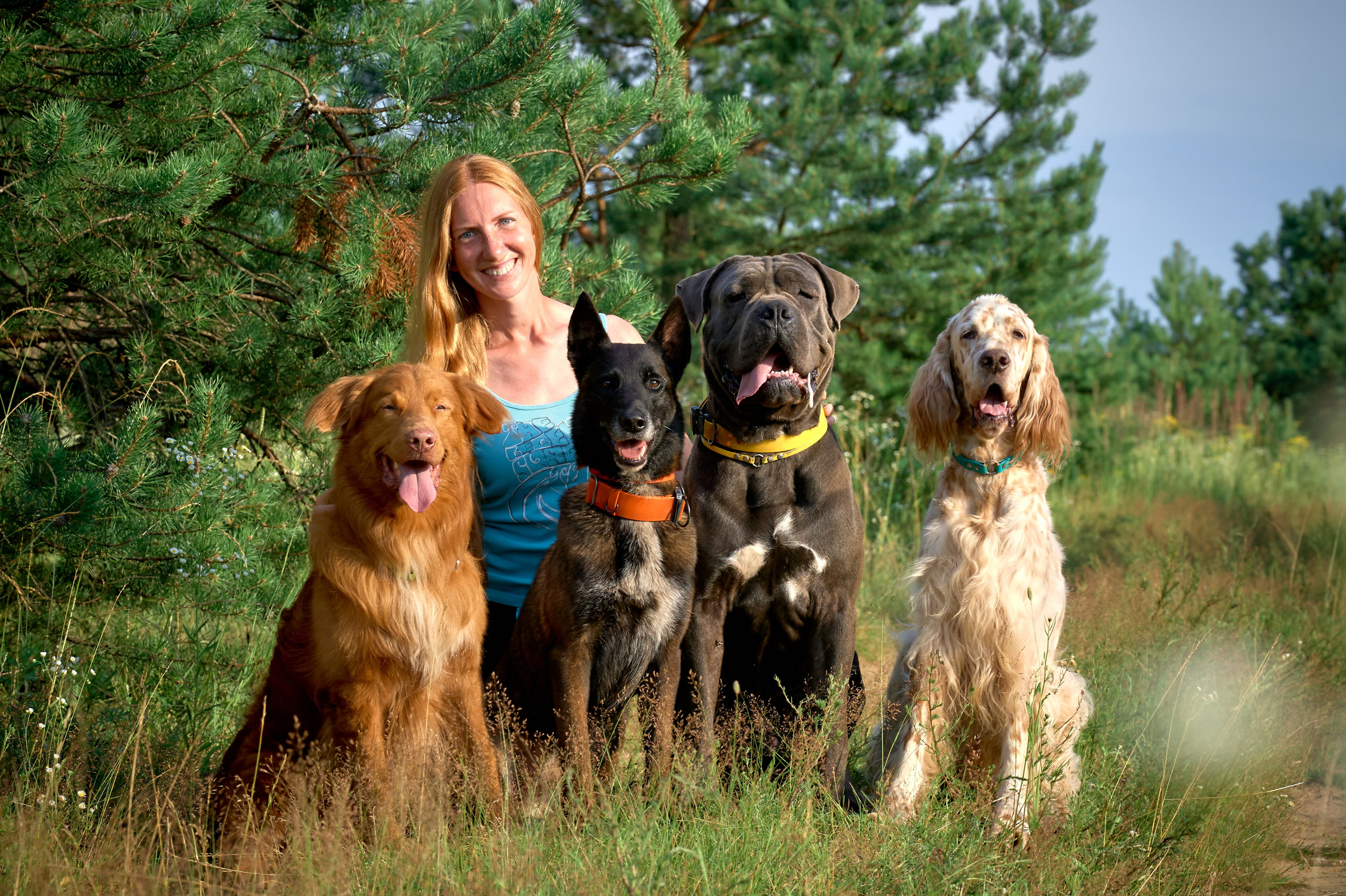 групповое, фото, собаки, природе, летом, семейная