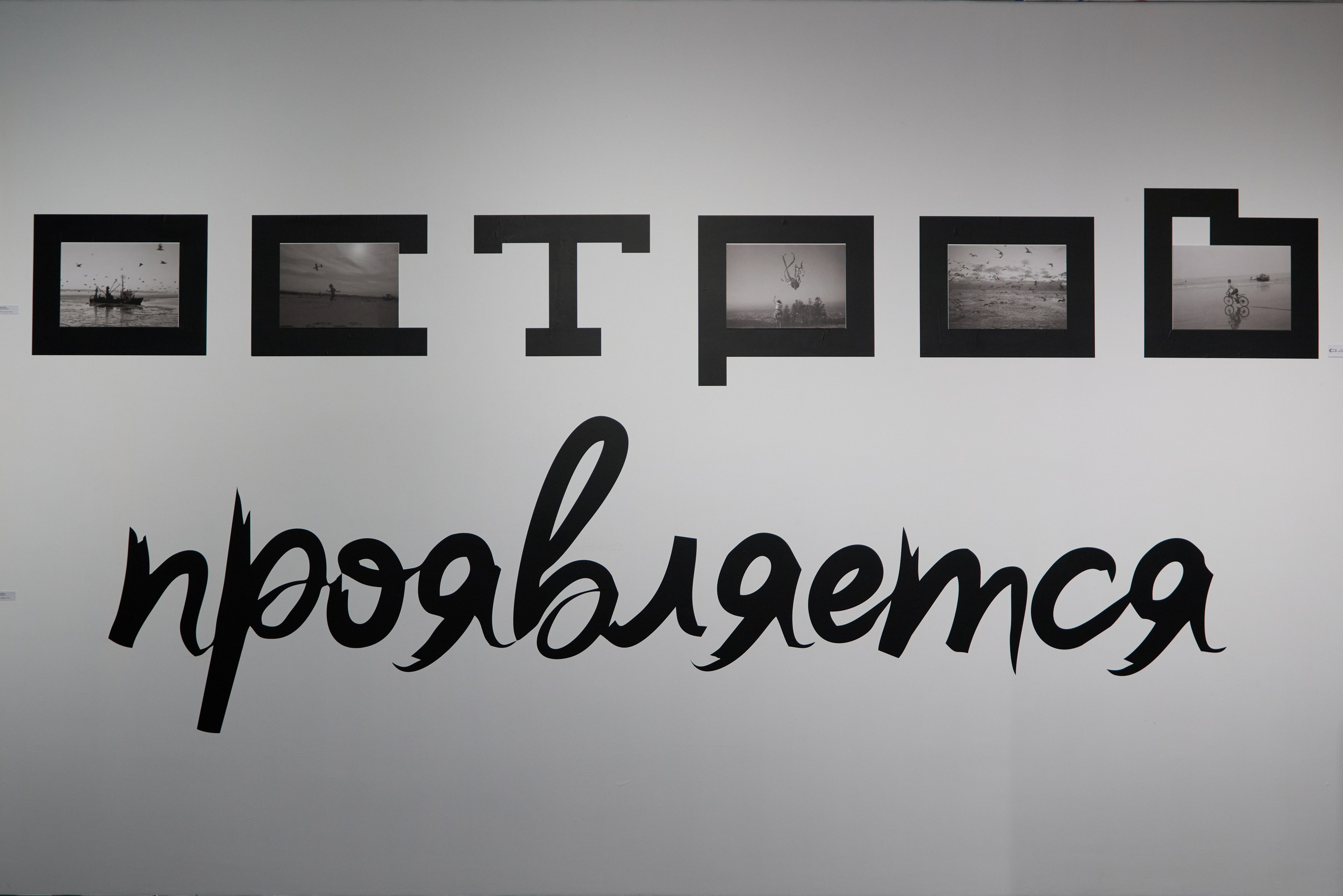 Евгений Ким