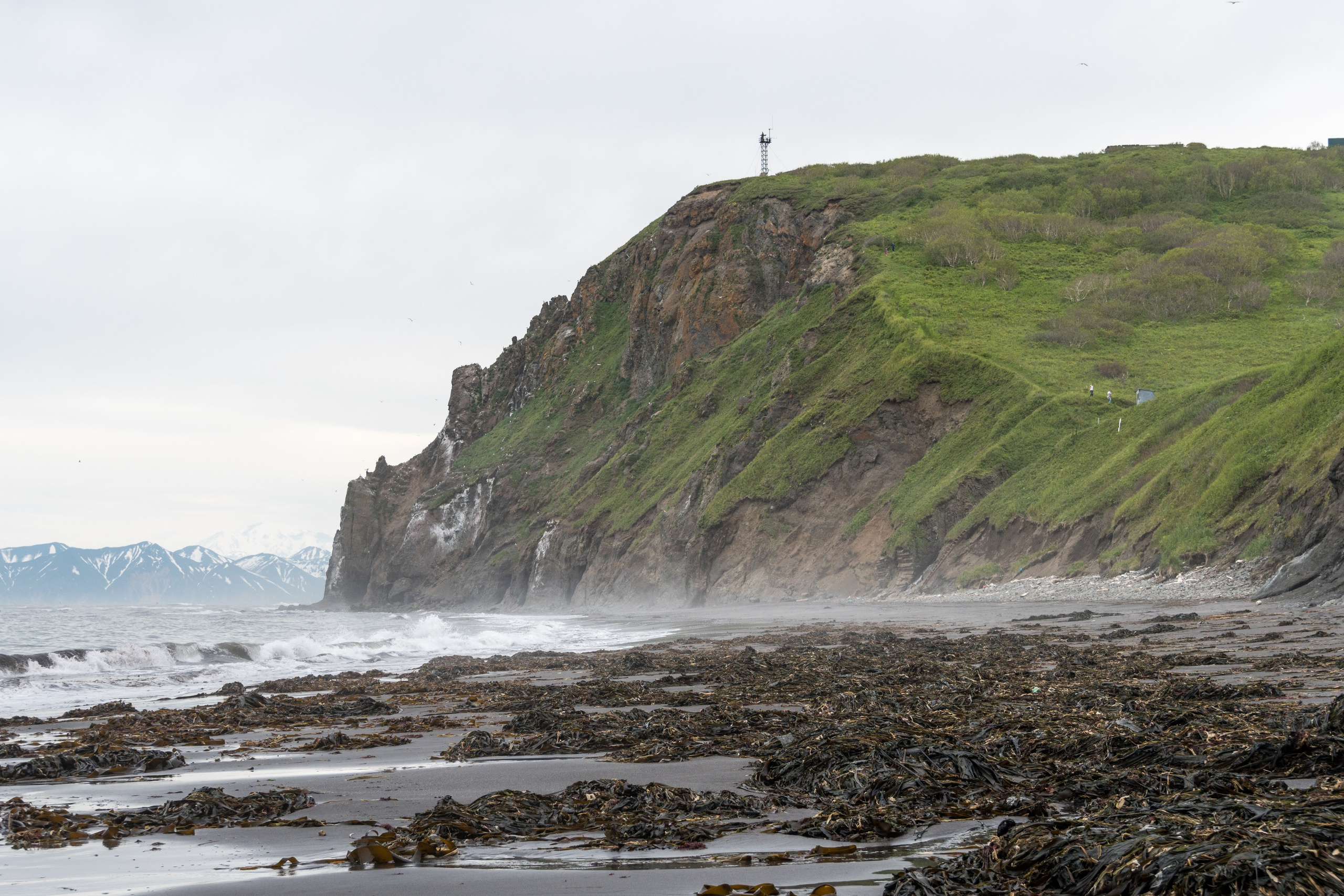 Крабовое сафари + мыс Маячный. Время Камчатки: чтобы найти свой путь, нужно скорость умножить на время