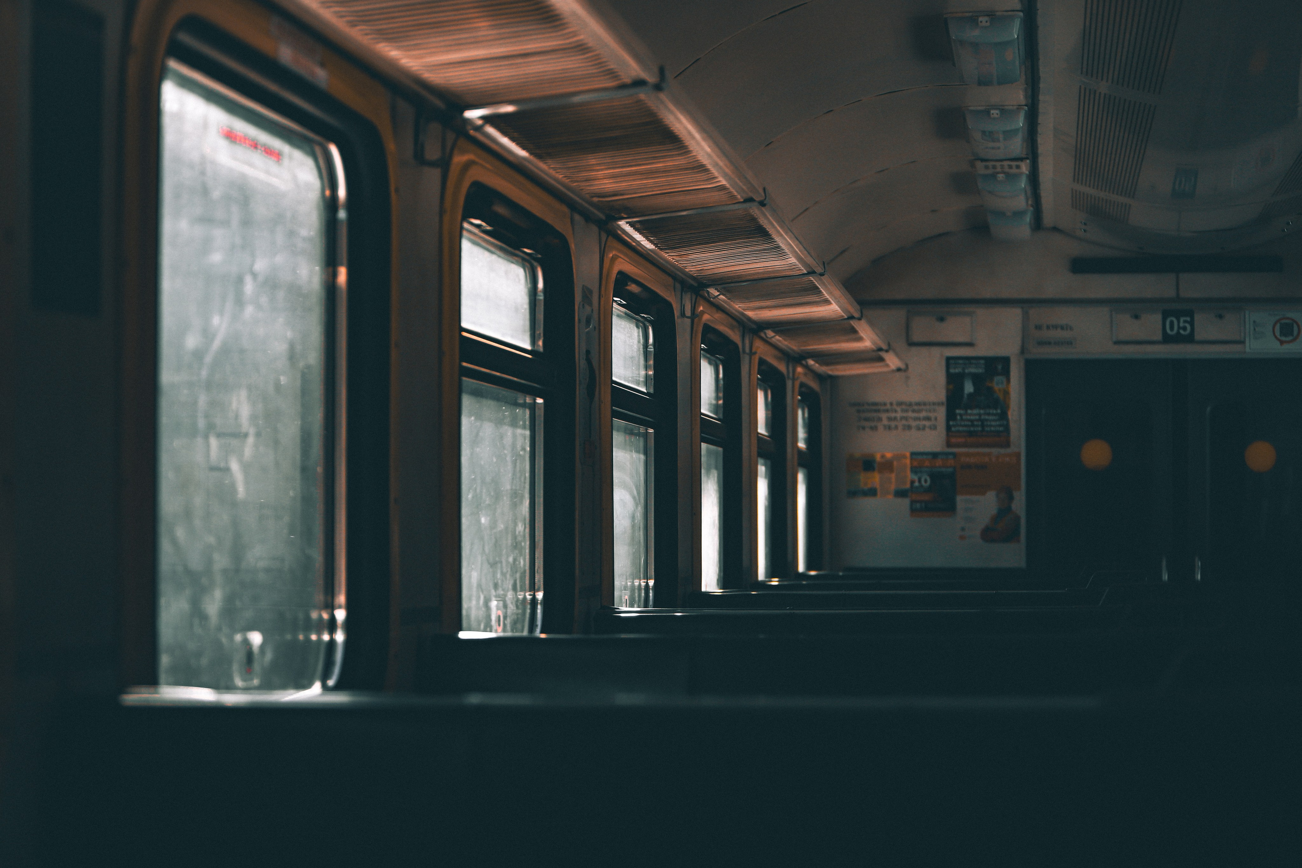 Брянский лес. «Книжка с картинками» Фотограф Наталья Цыбина