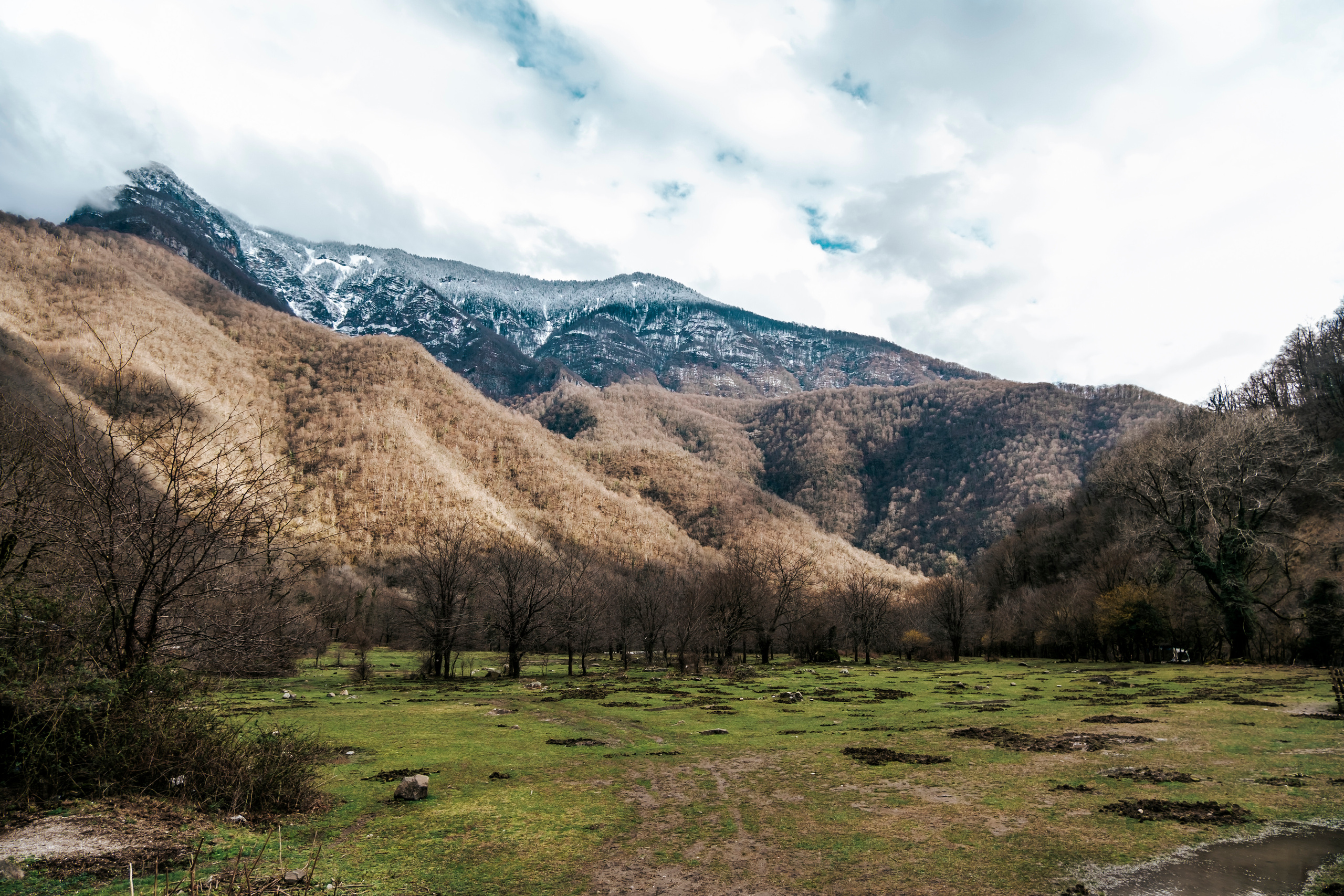 Абхазия (март 2021)