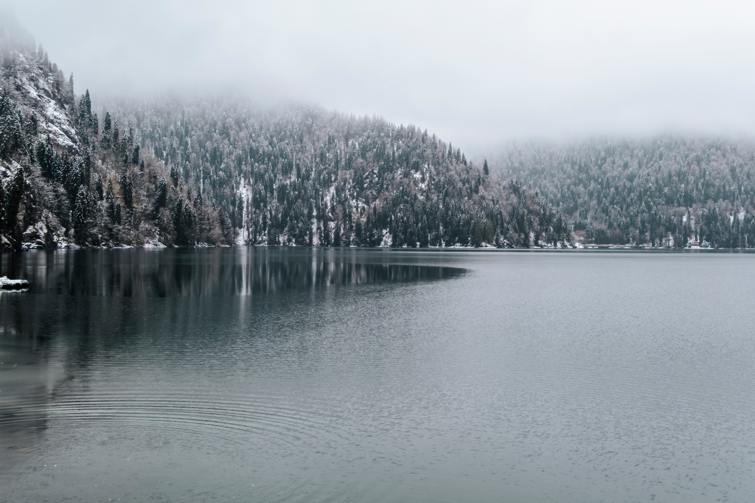 Абхазия (март 2021)