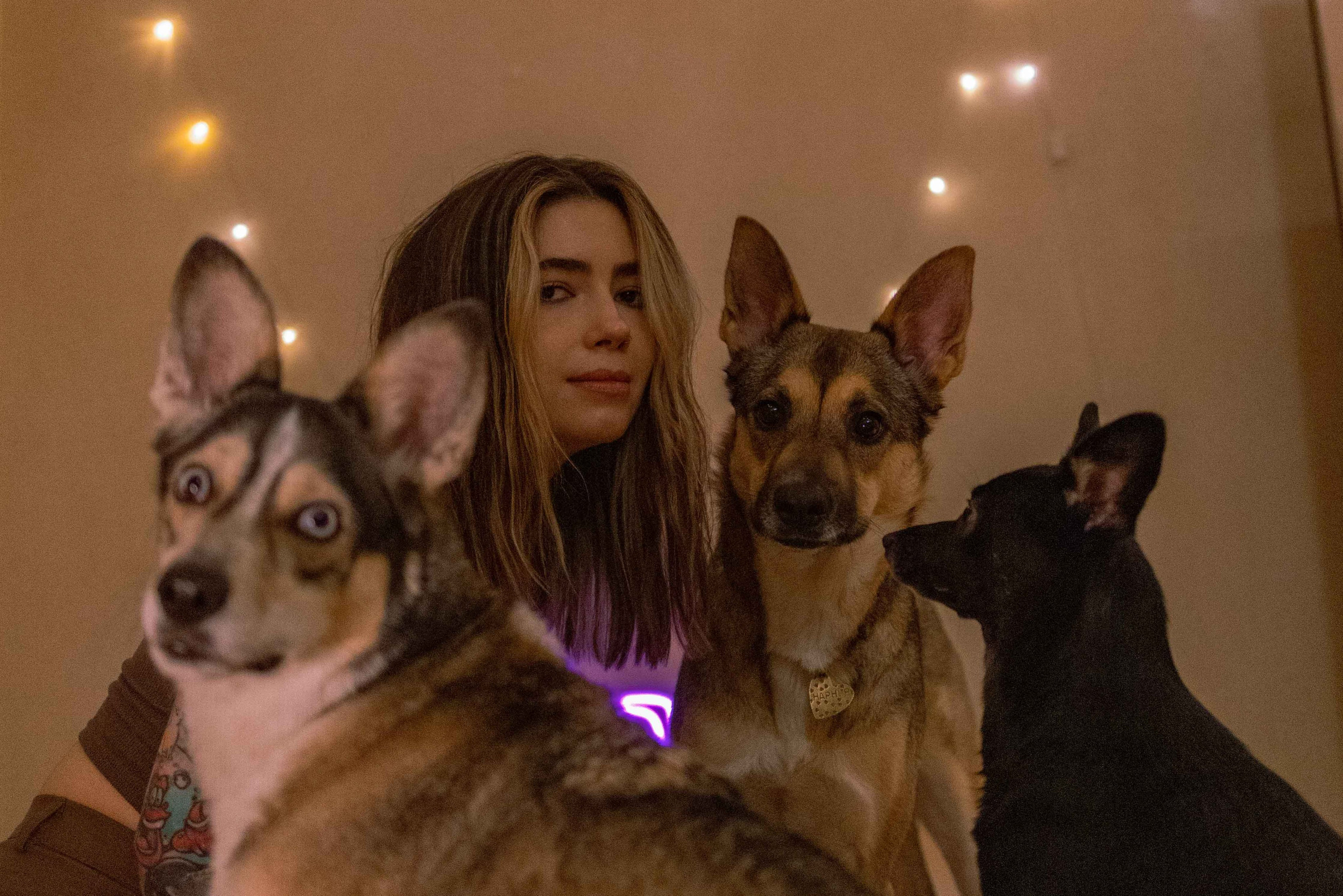 Прайс. Фотограф-анималист в Москве Лера Черноног