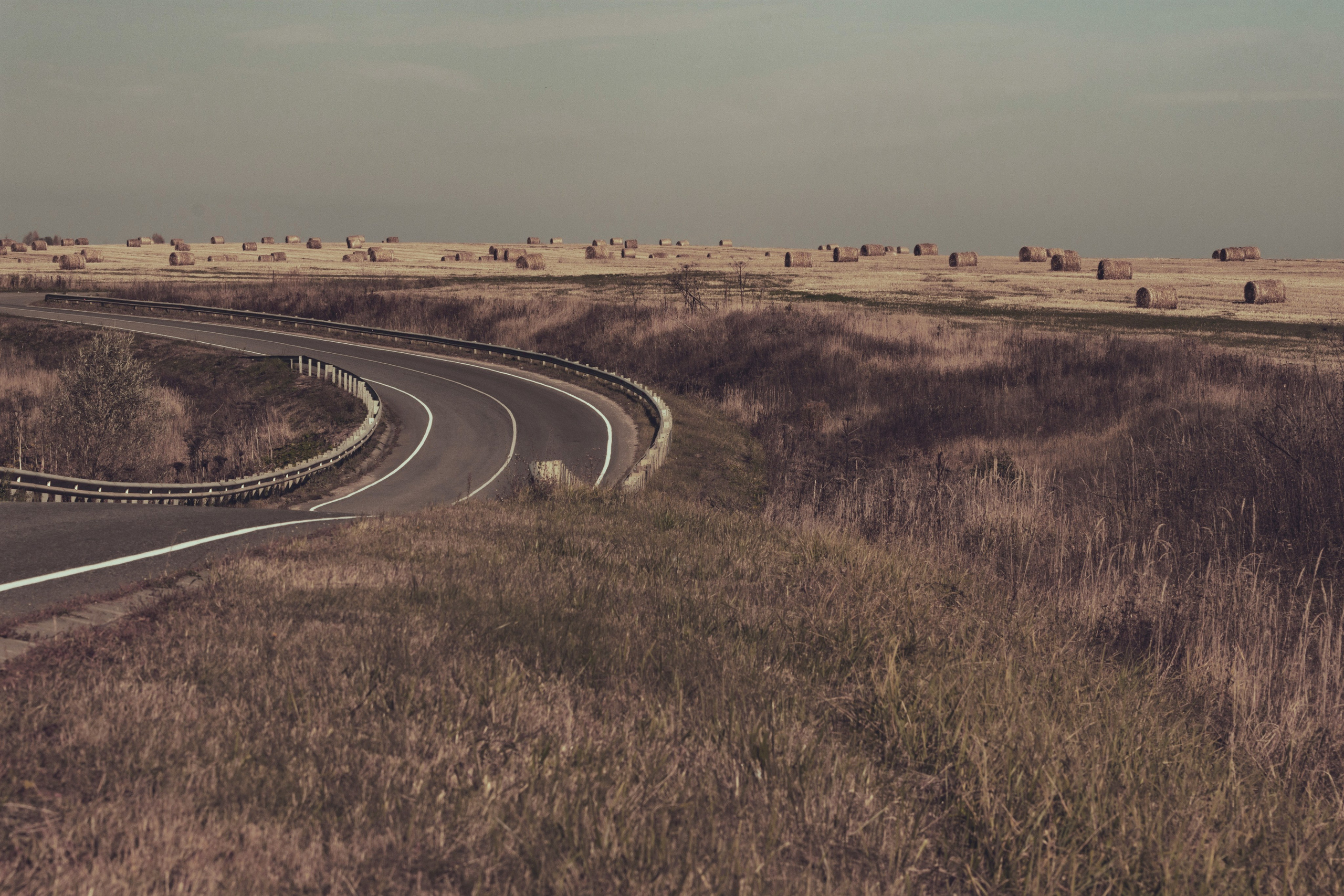 Голосование. Калужский городской фотоконкурс