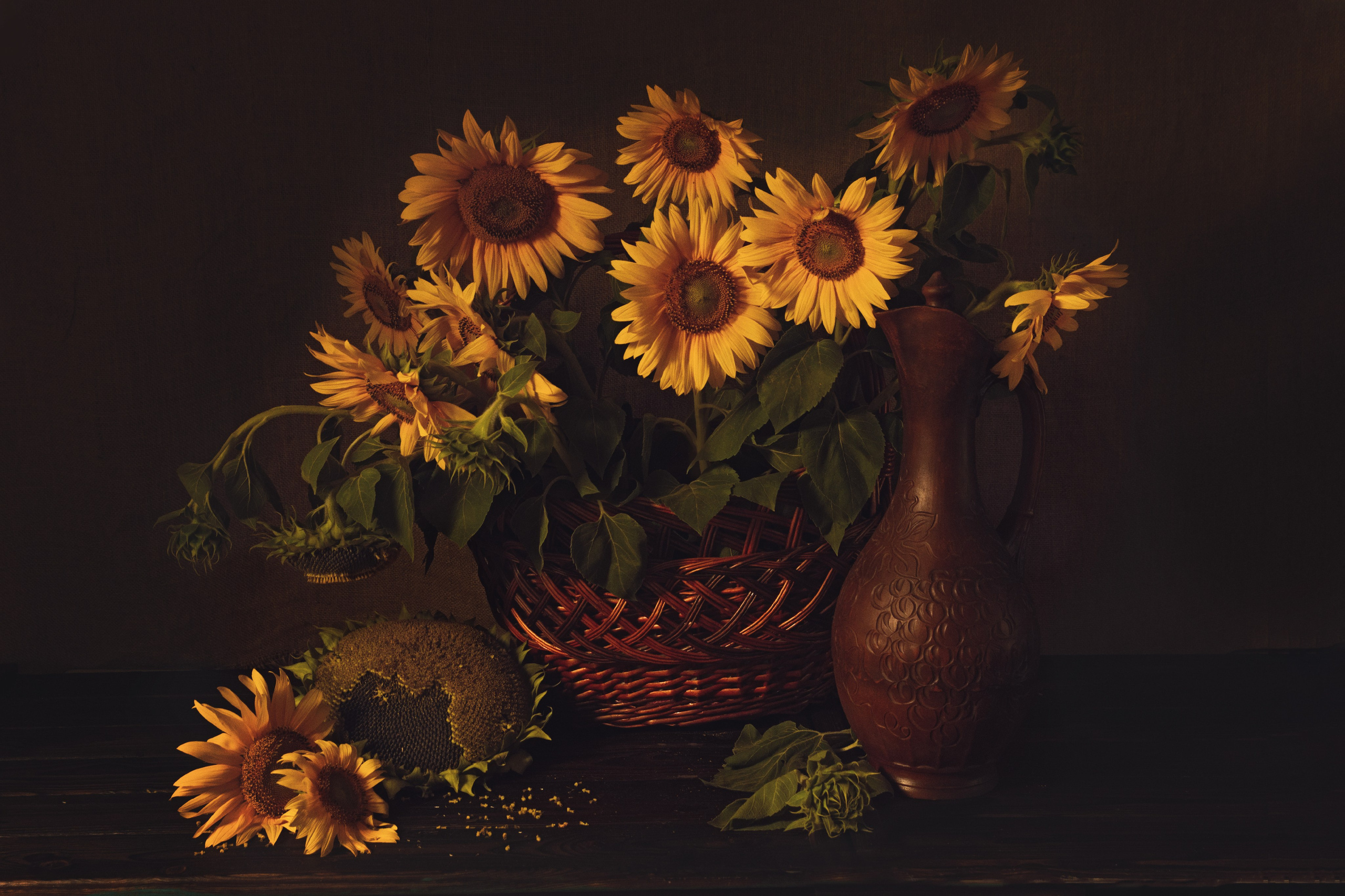 Голосование. Калужский городской фотоконкурс