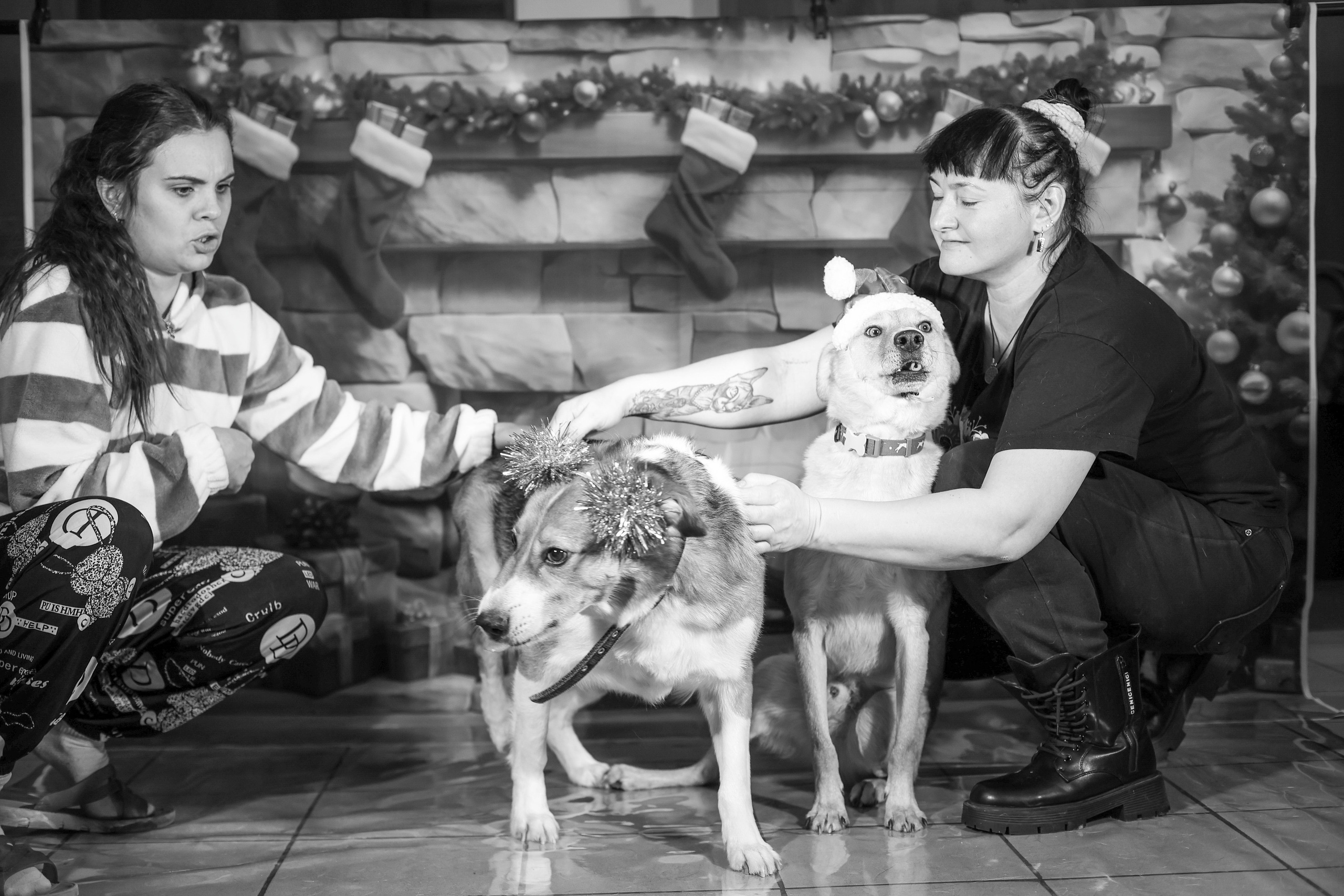 Приют четвероногий АНГЕЛ. Фотограф 📸 семейный, предметный, репортажный