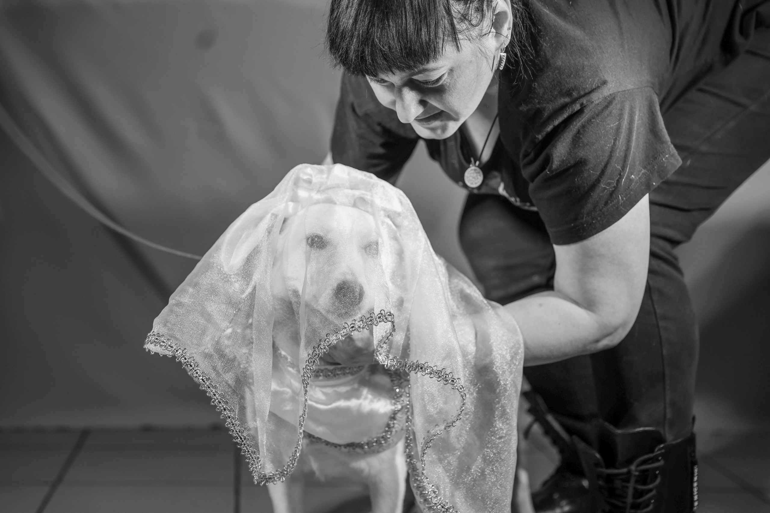 Приют четвероногий АНГЕЛ. Фотограф 📸 семейный, предметный, репортажный