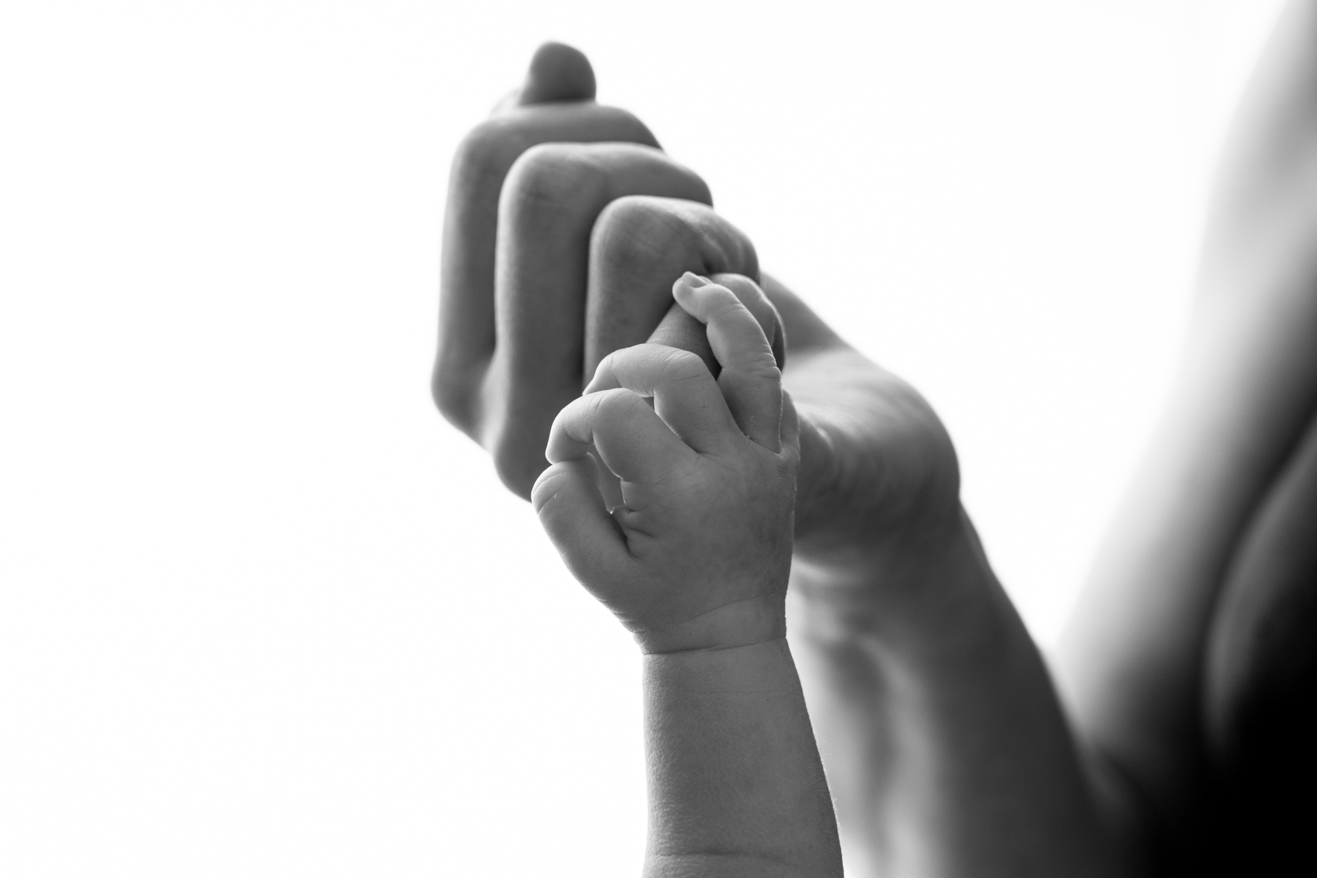 ПРАЙС NEWBORN. Фотосессия беременности в Барнауле