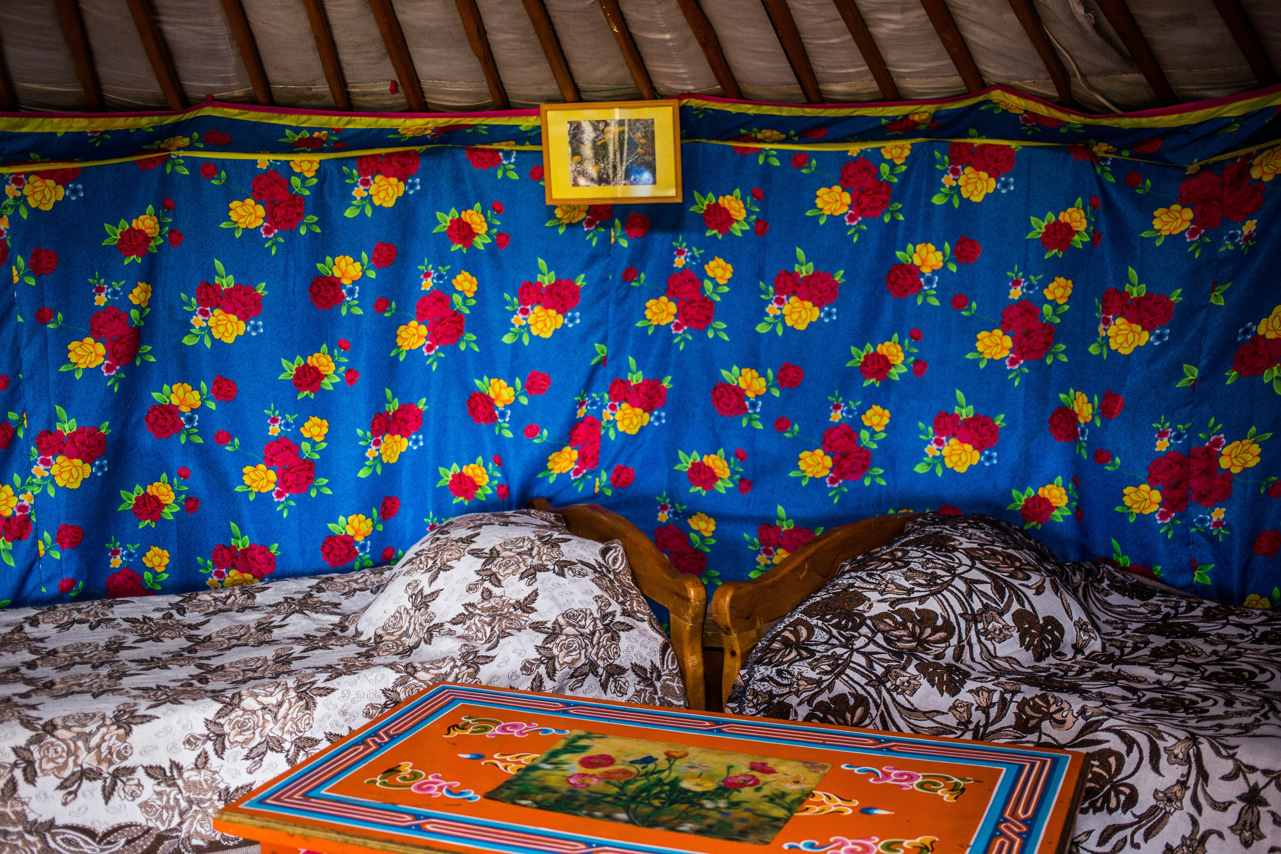 Турбаза на Хубсугуле «Серебряный берег»