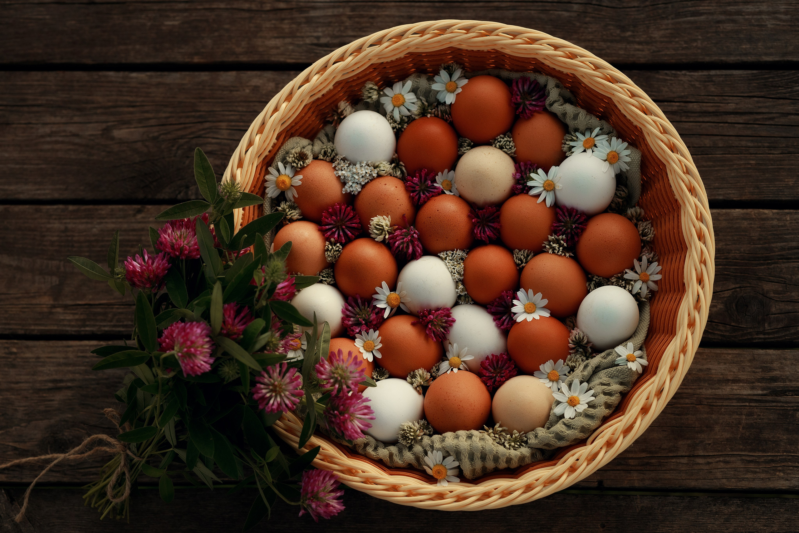 Летний пирог. Семейный фотограф в Калининграде Надежда Гриднева