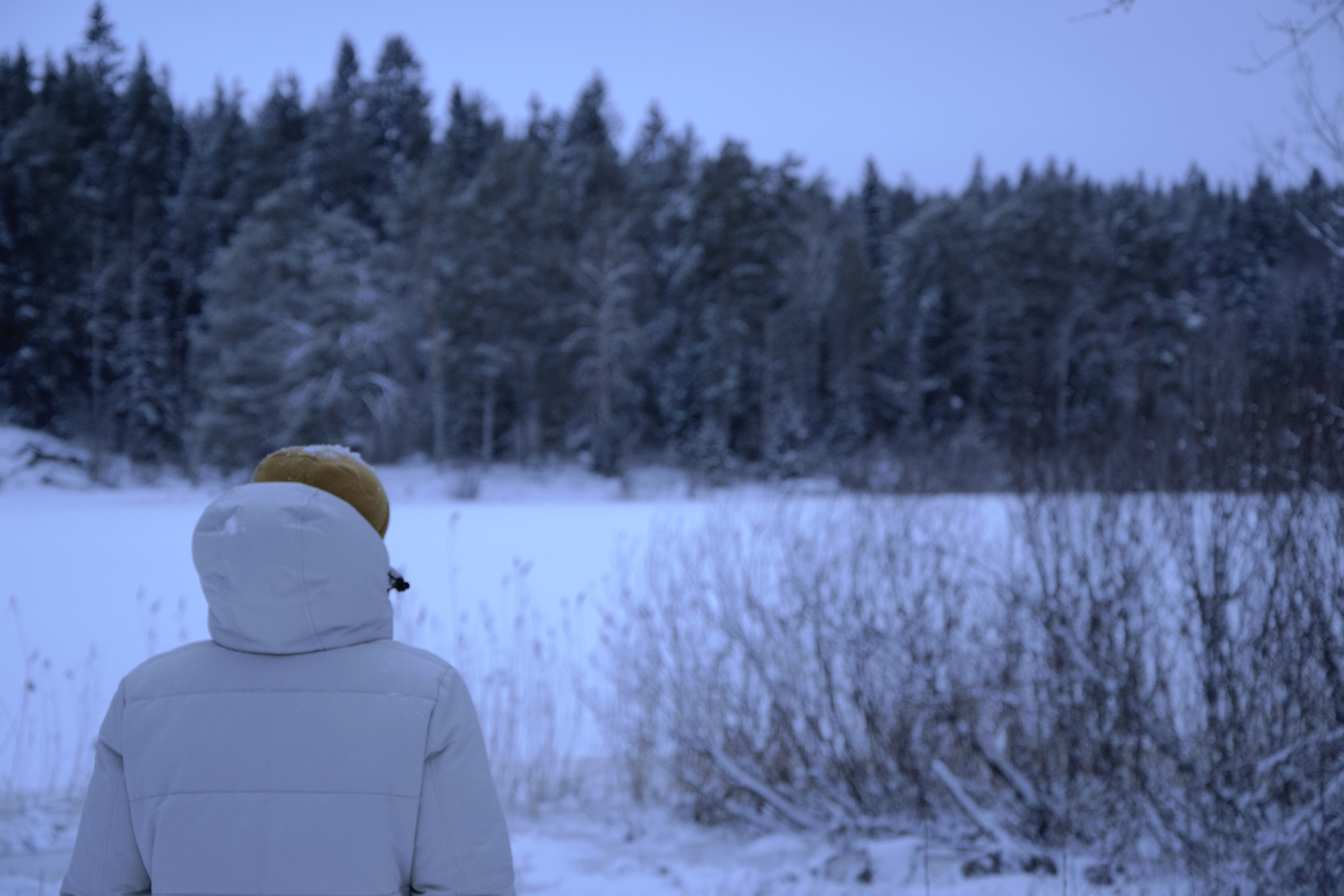 Услуги. Фотограф Анастасия Шай в Санкт-Петербурге