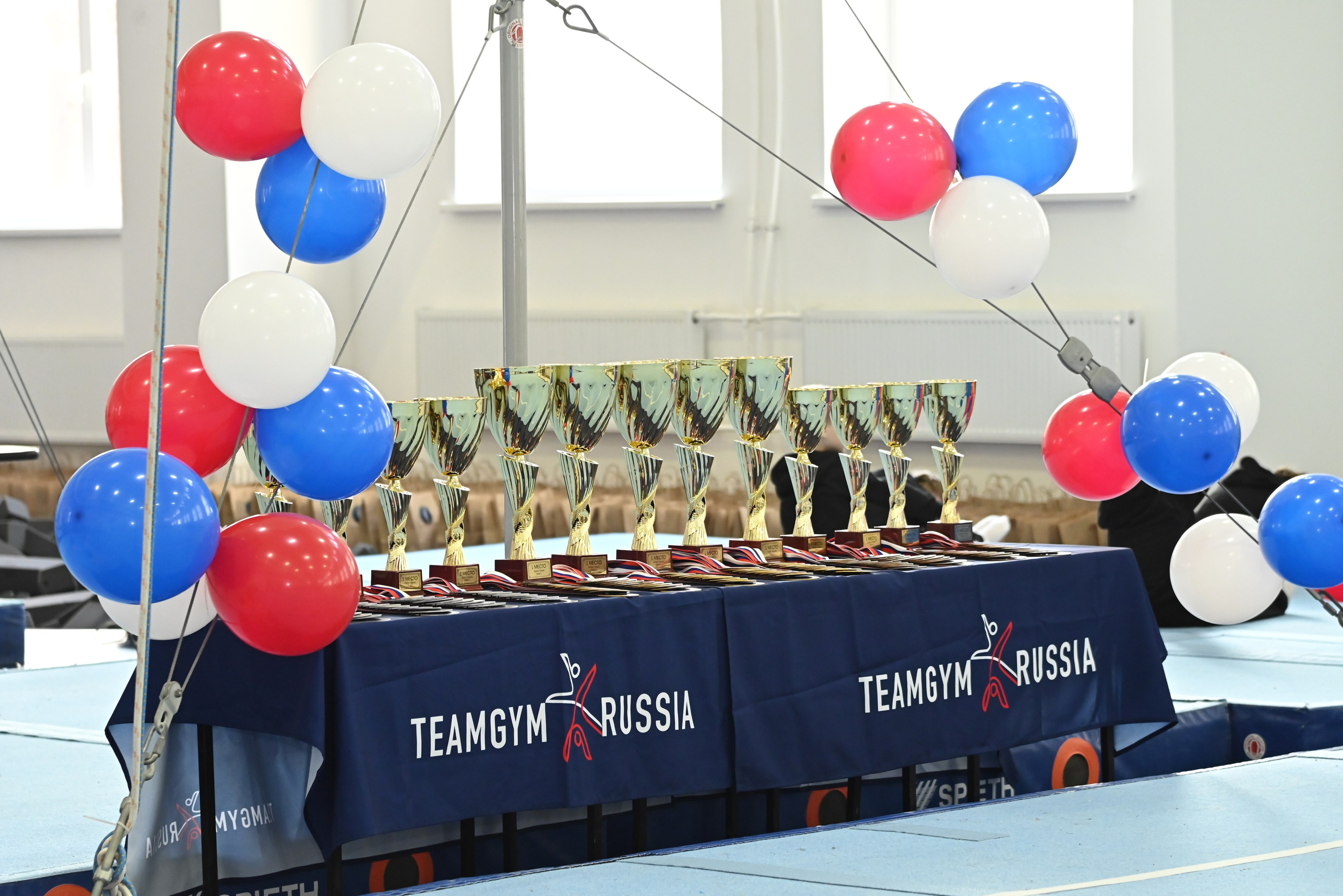 Галерея. Федерация Командной Гимнастики России