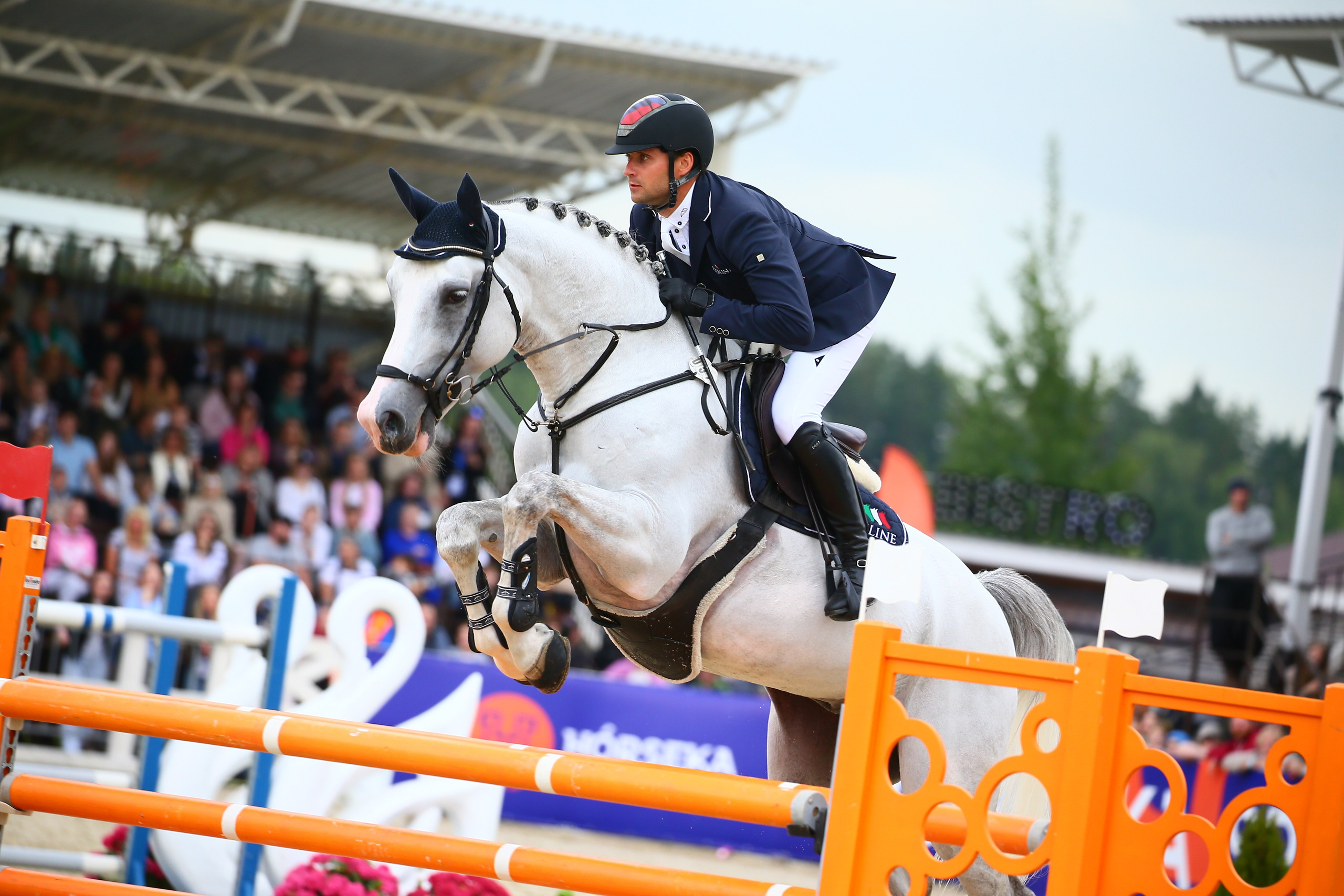 Купить фотографии с турниров. KatymartArt — Equine photography