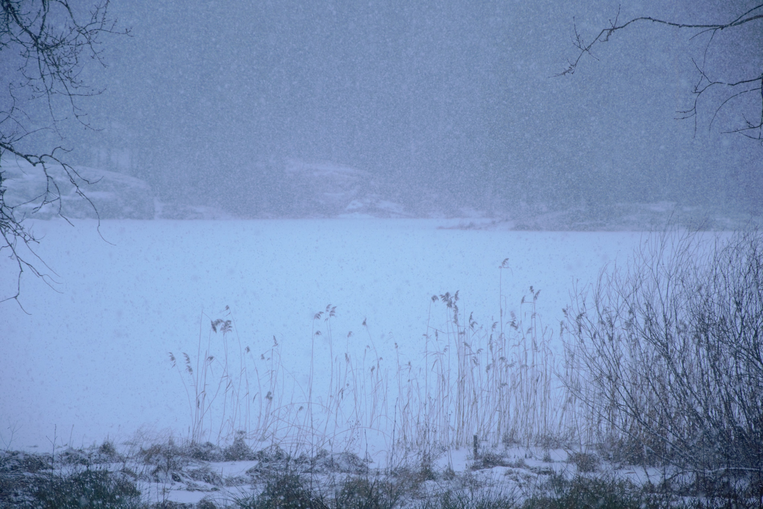 Услуги. Фотограф Анастасия Шай в Санкт-Петербурге