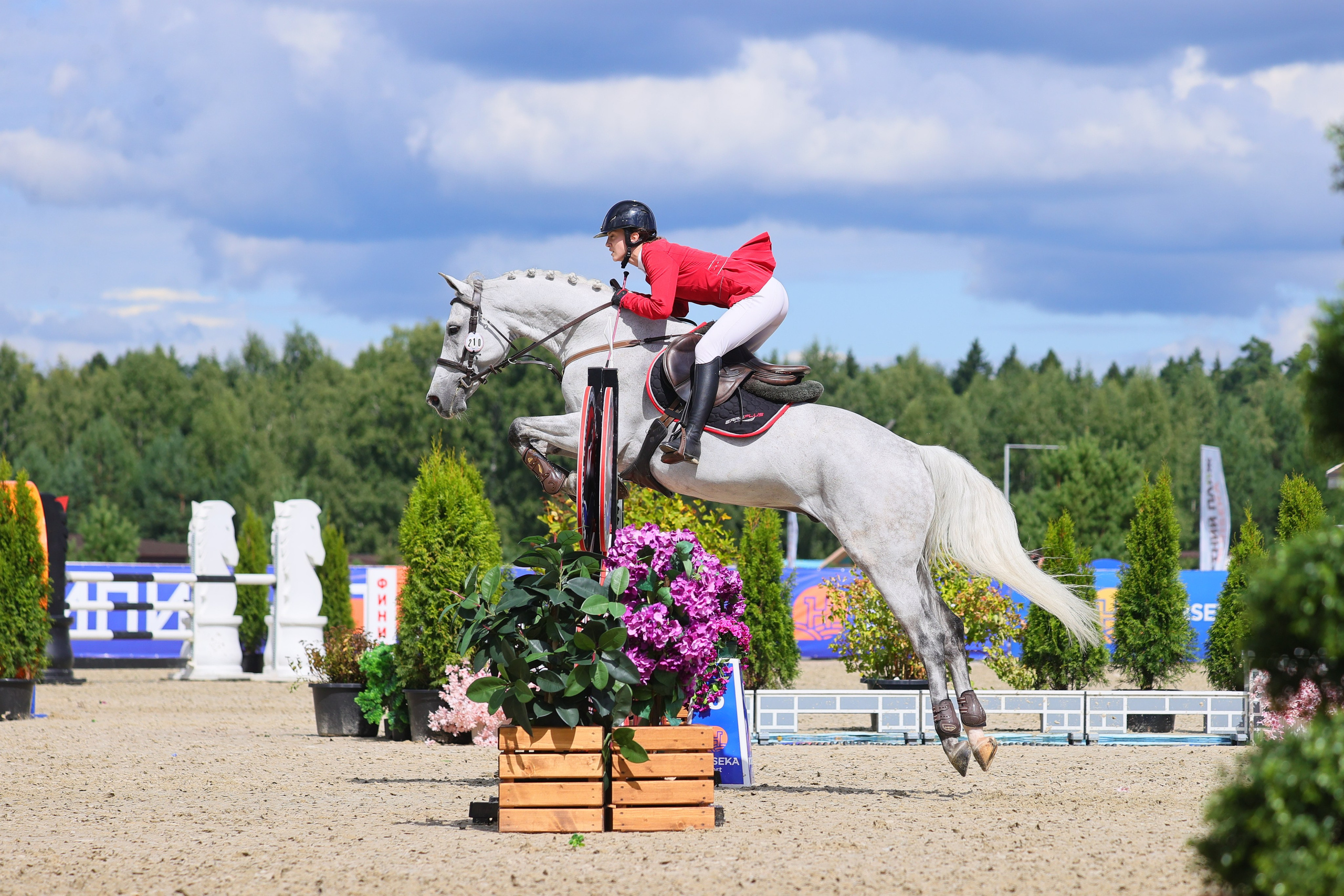Купить фотографии с турниров. KatymartArt — Equine photography