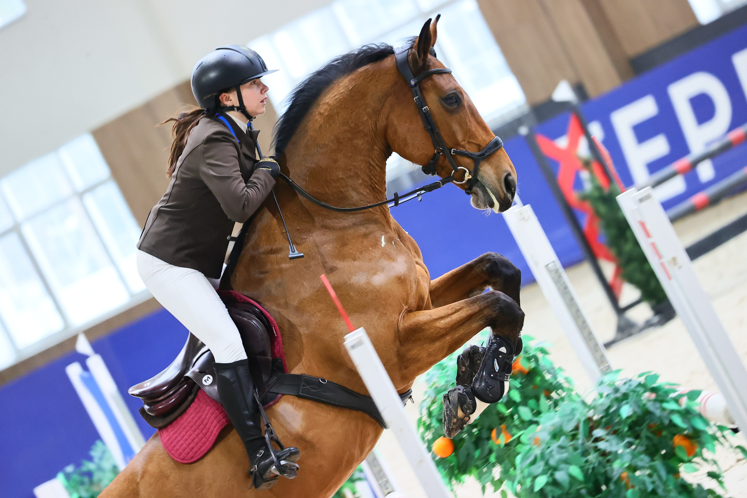 Купить фотографии с турниров. KatymartArt — Equine photography