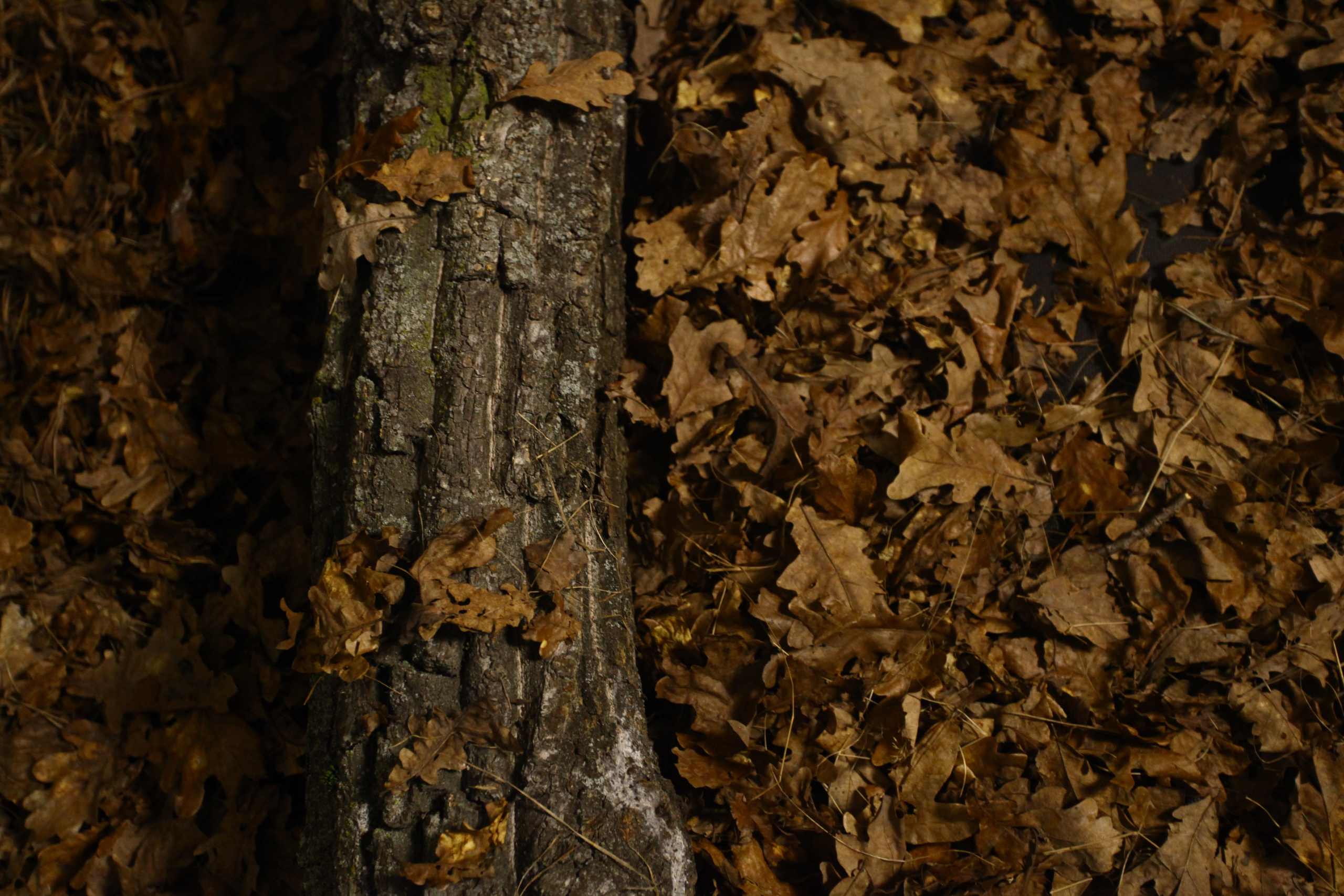 Контакты. Фотостудия UPART