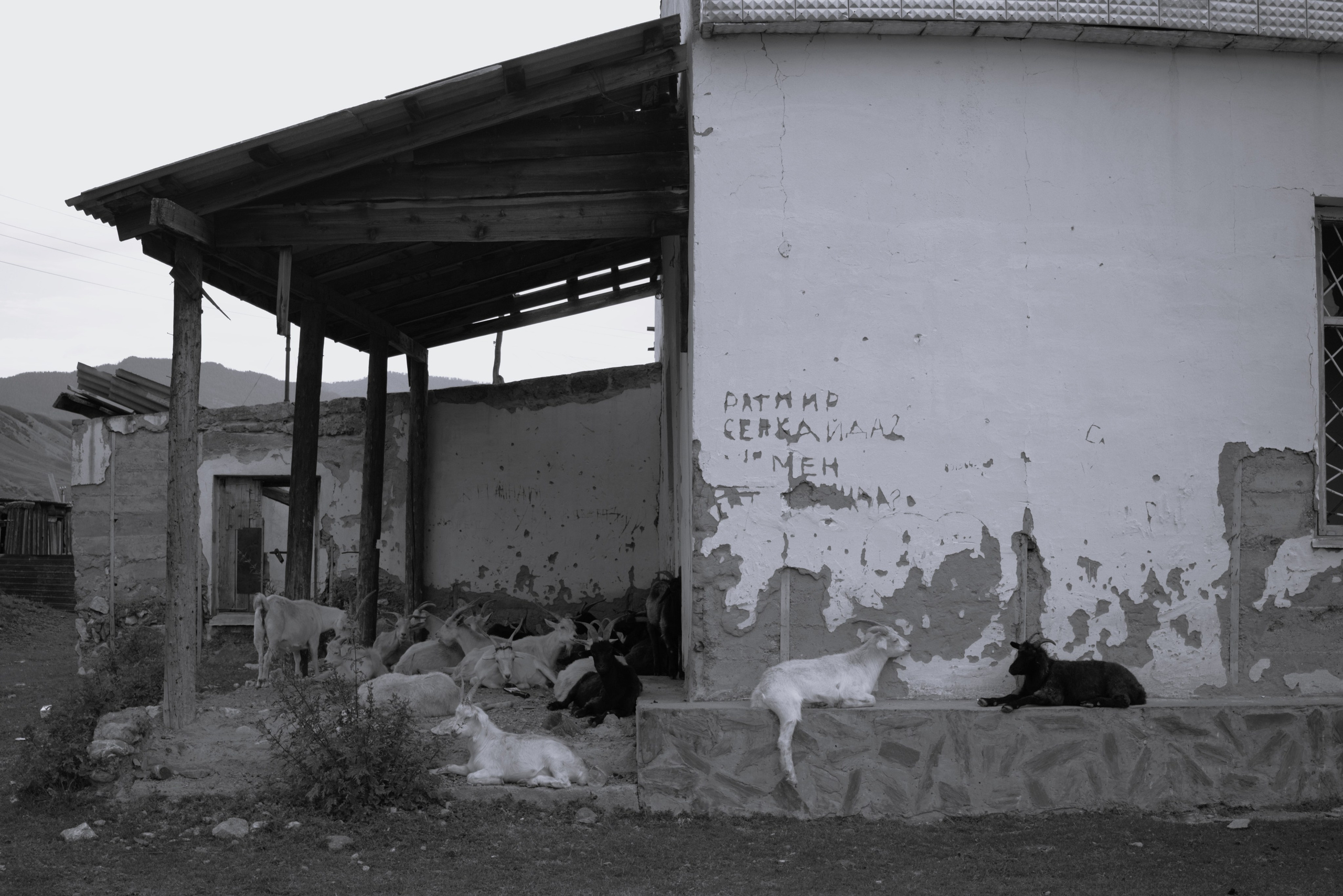 Быт местных в Алтайских сёлах. Povarov